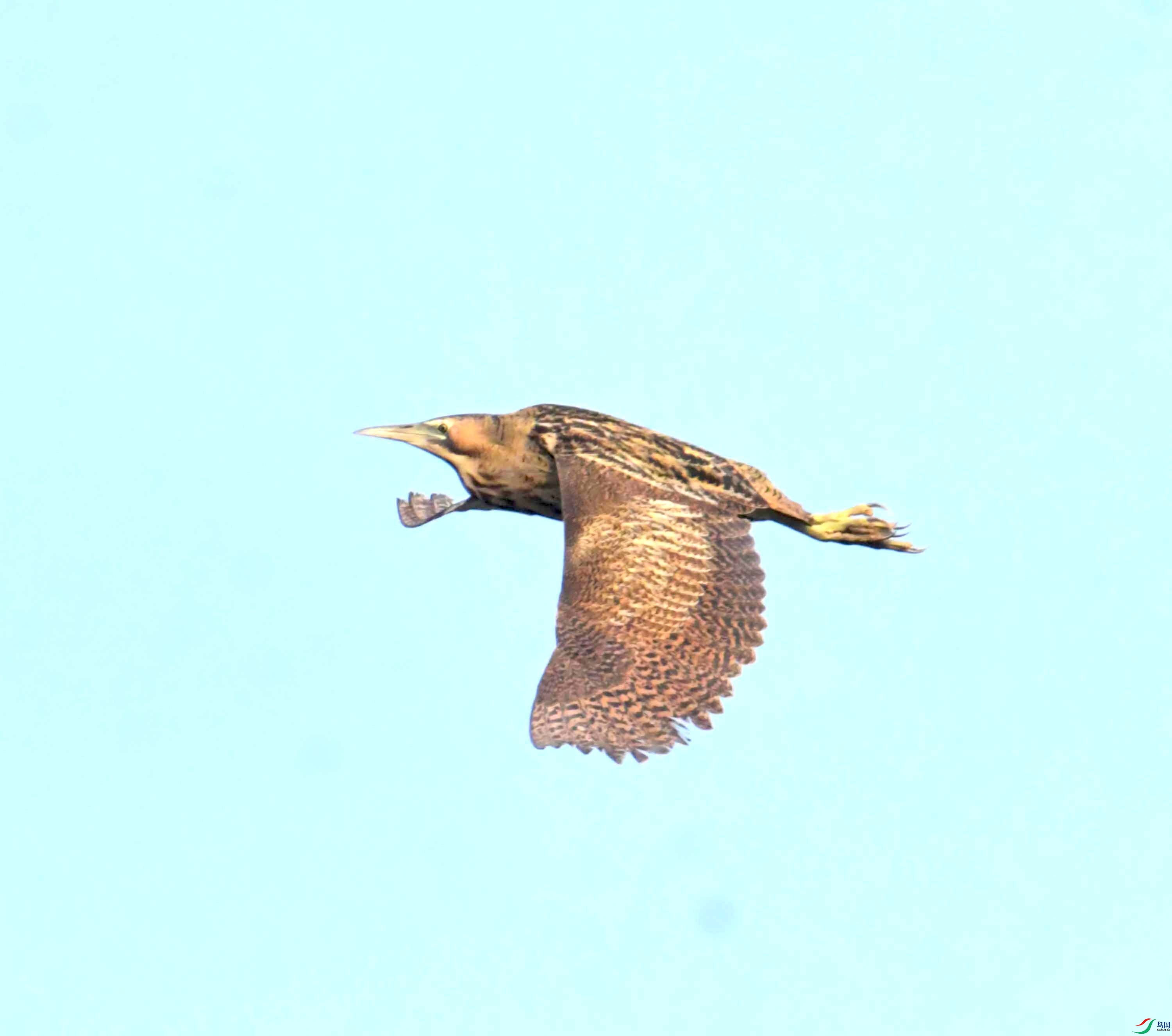 DSC_0198.JPG