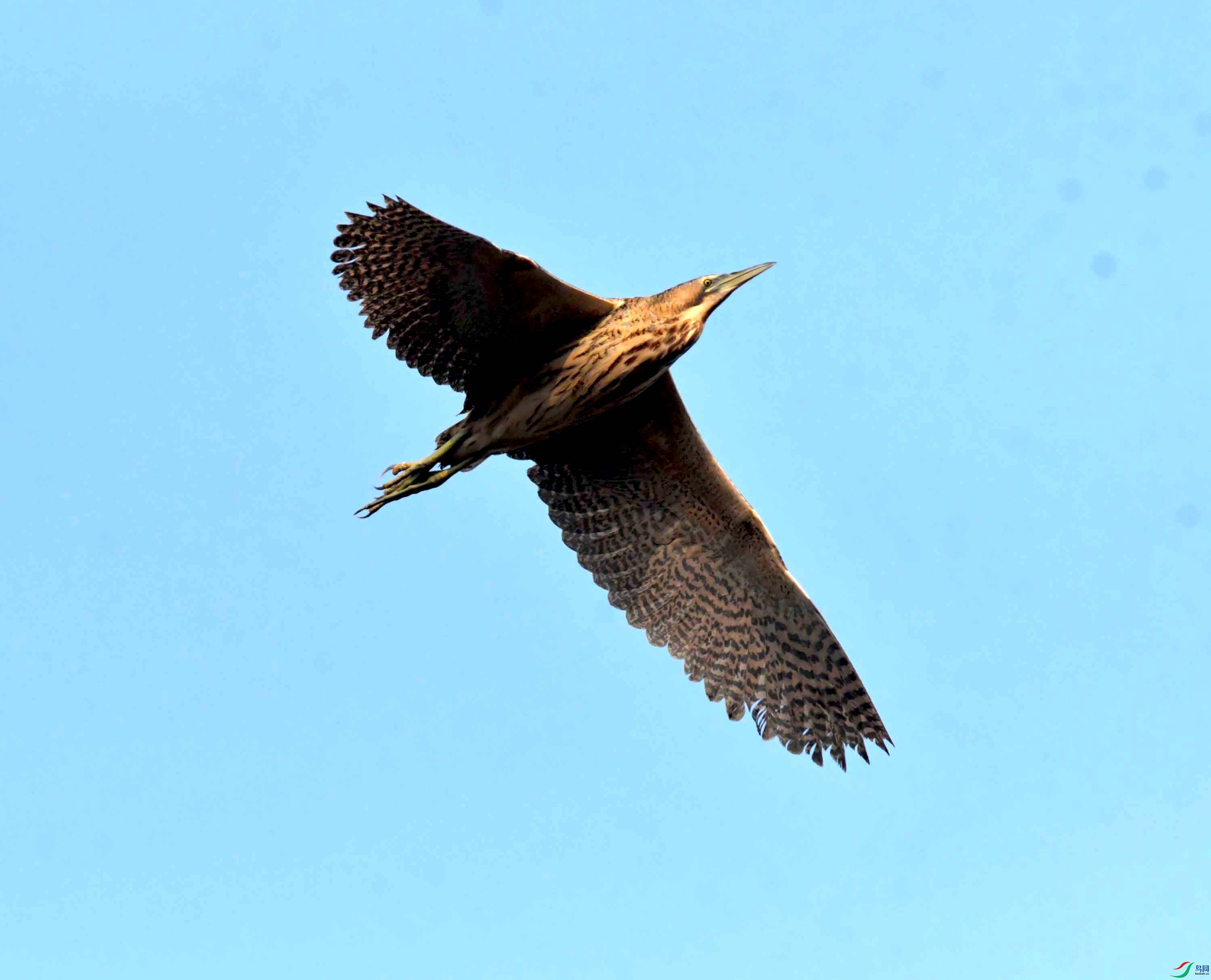 DSC_0206.JPG