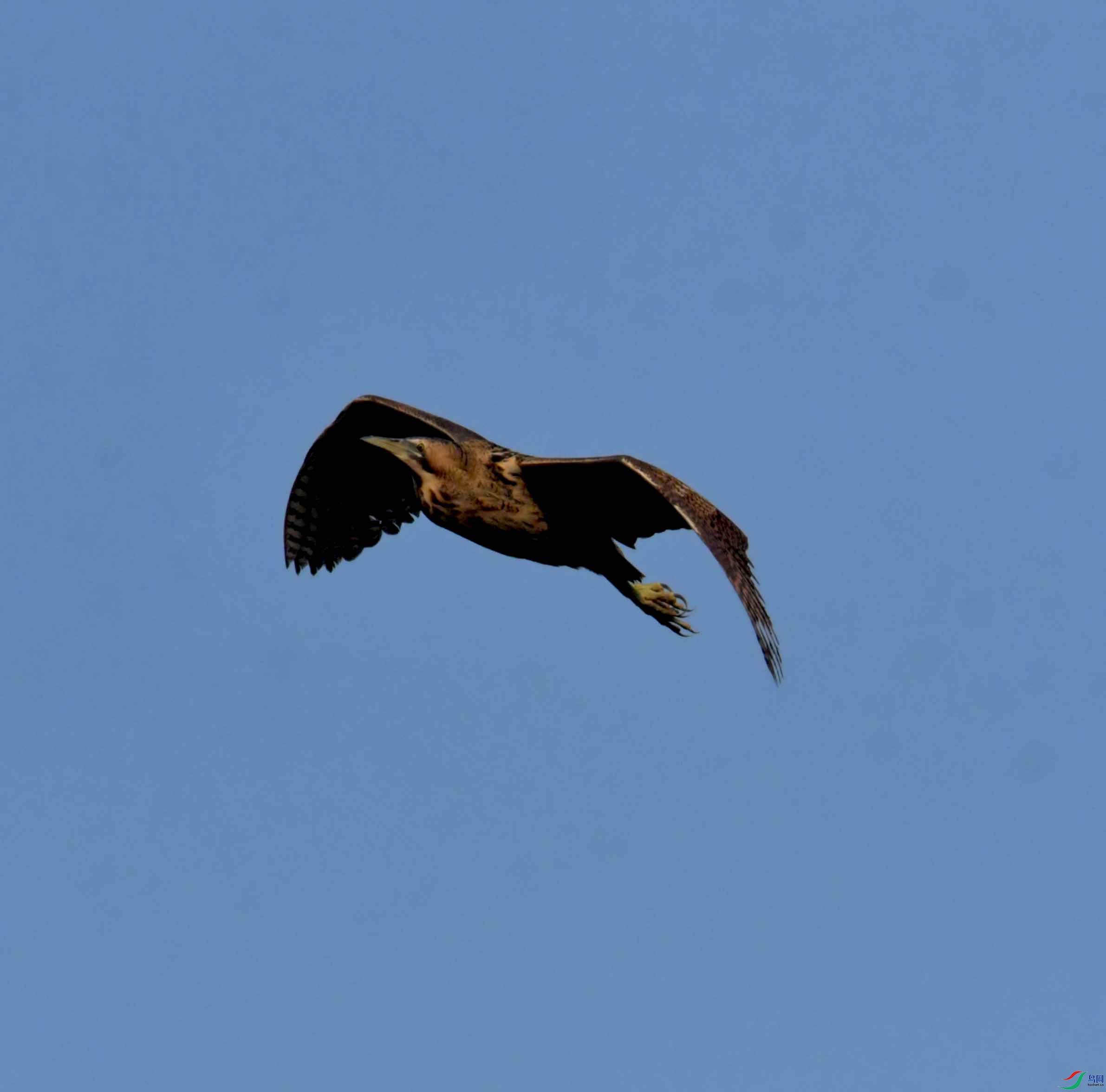 DSC_0200.JPG