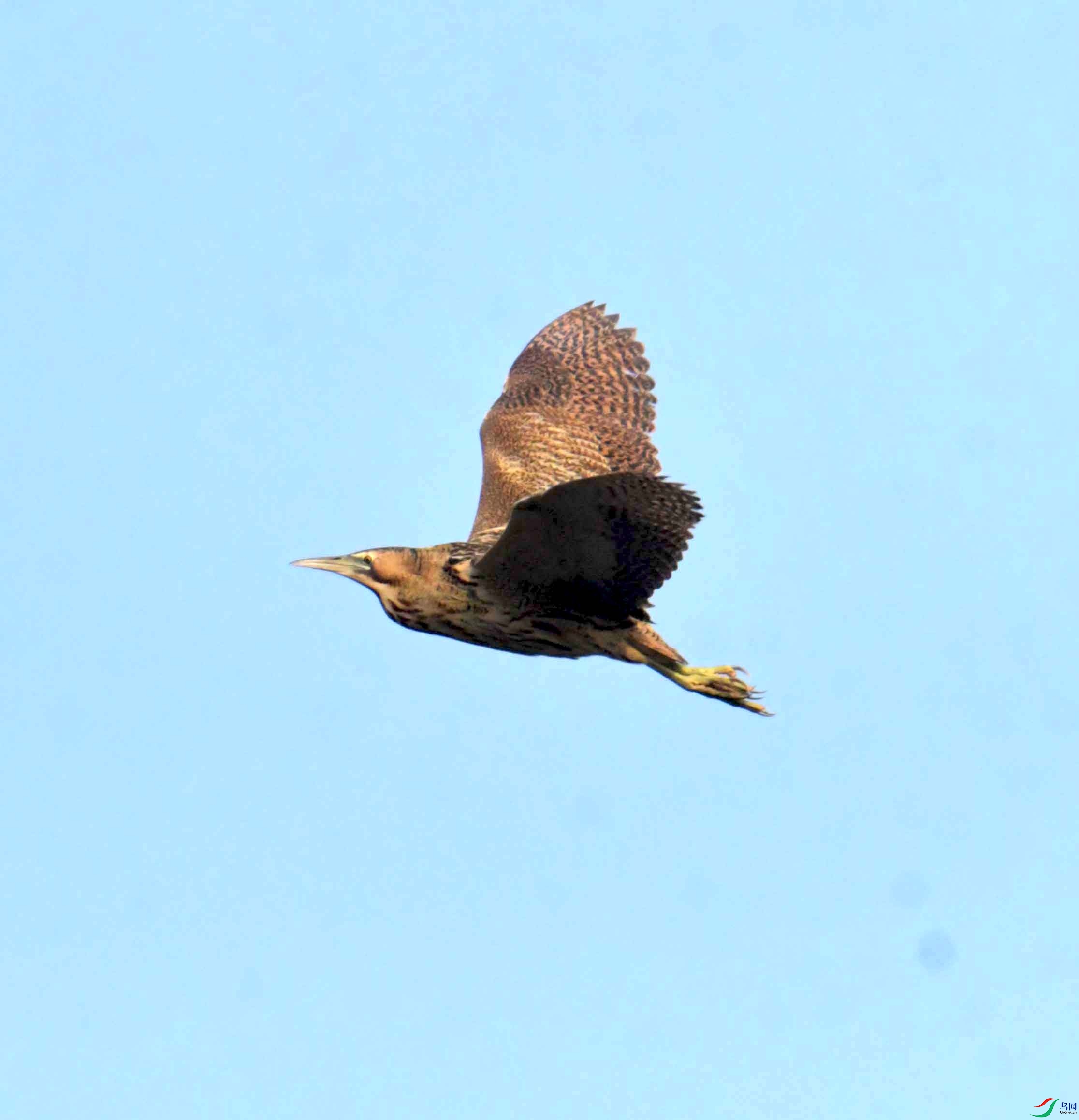 DSC_0197.JPG