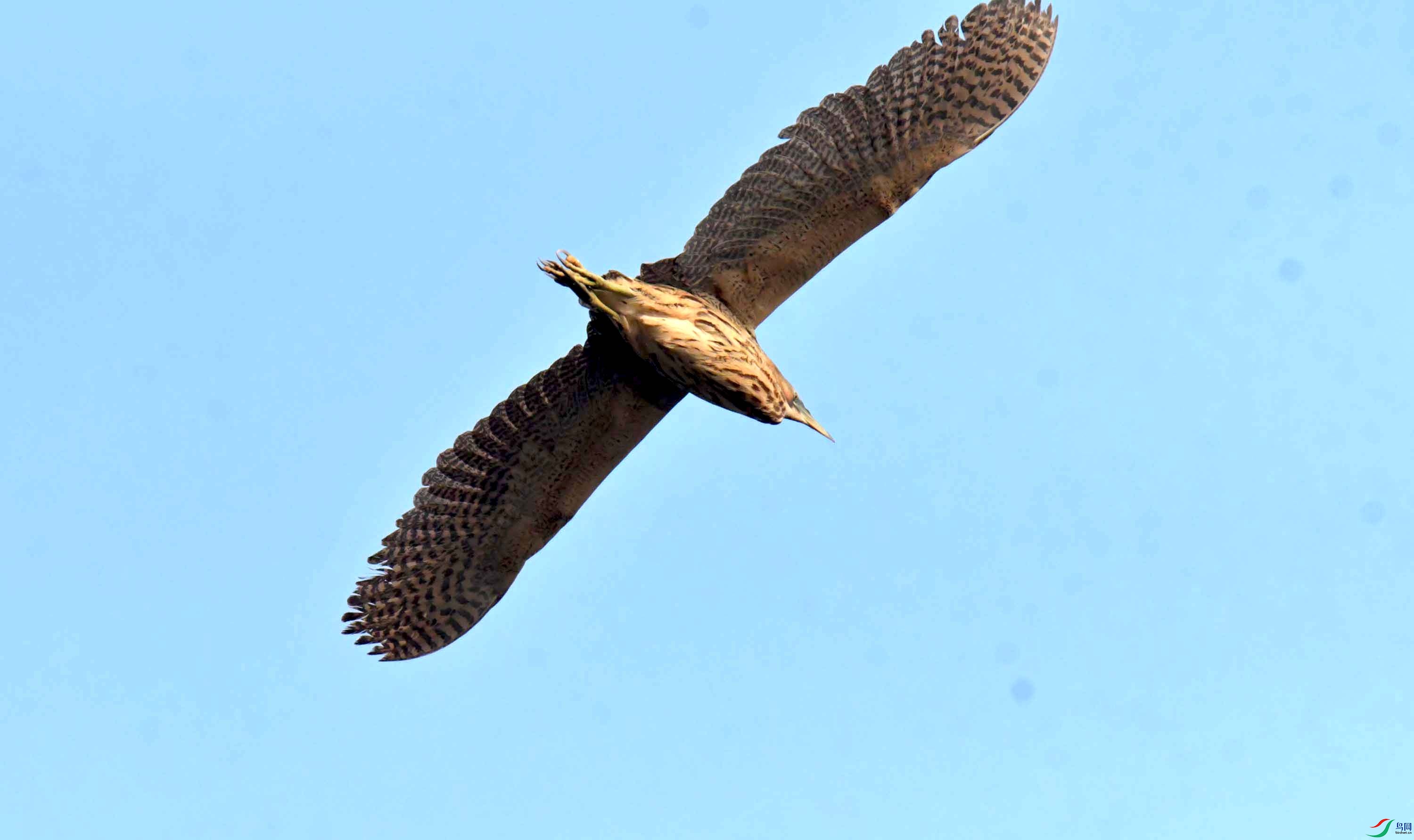 DSC_0216.JPG