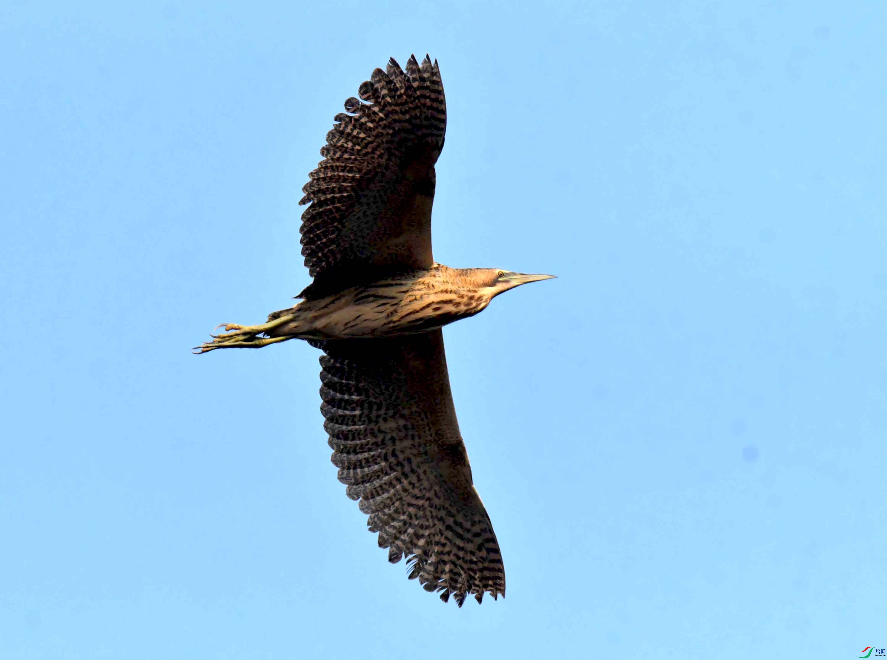DSC_0209.JPG