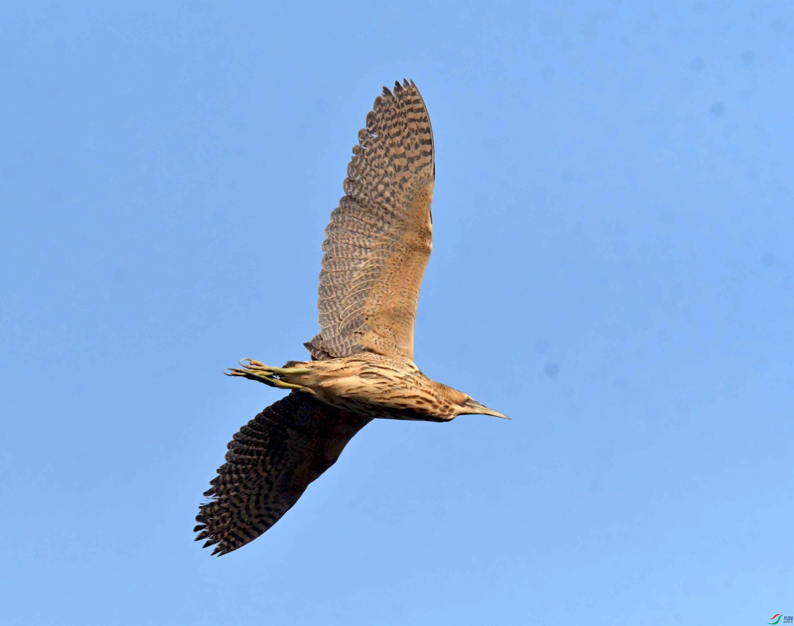 DSC_0212.JPG