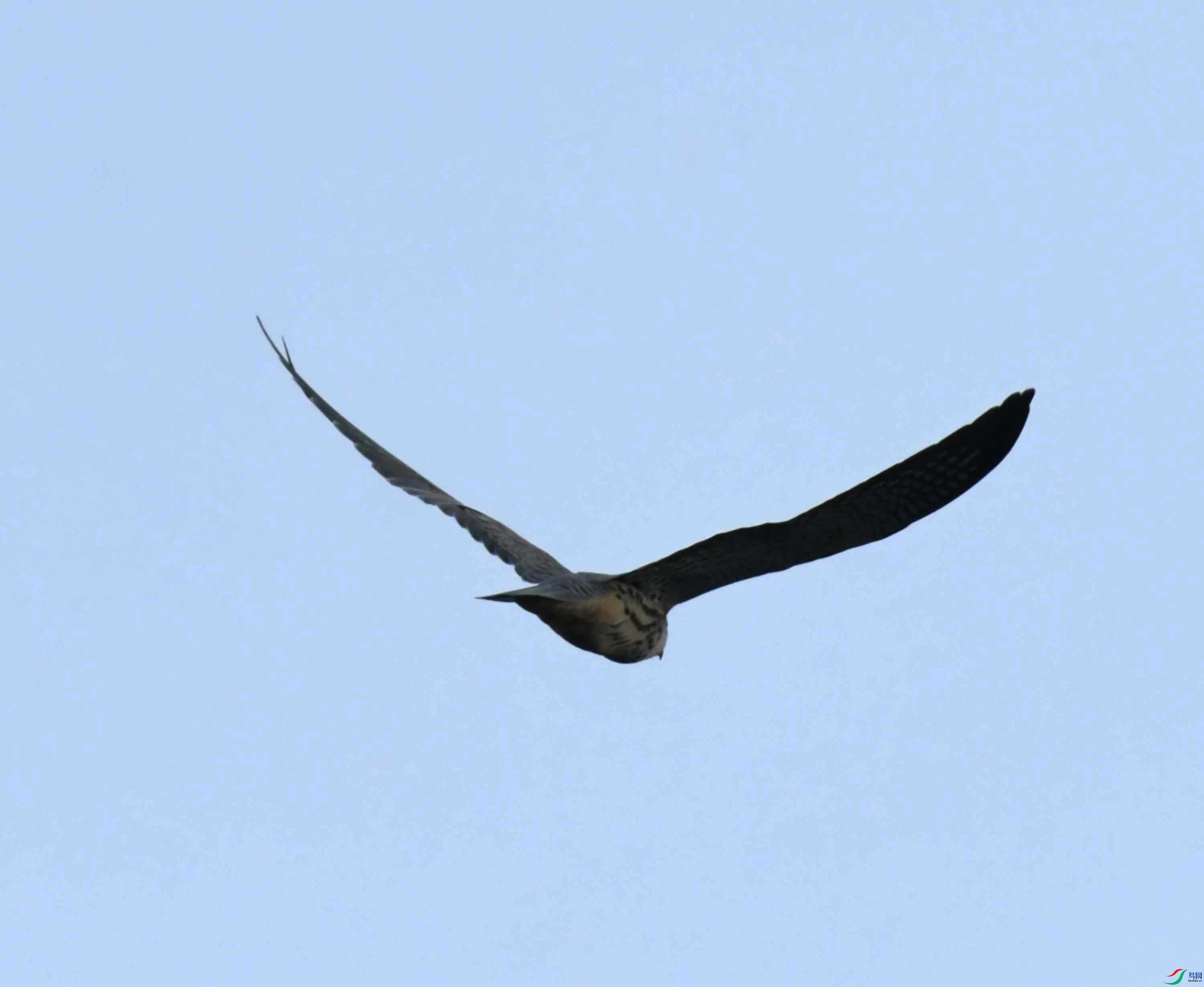 DSC_5521.JPG