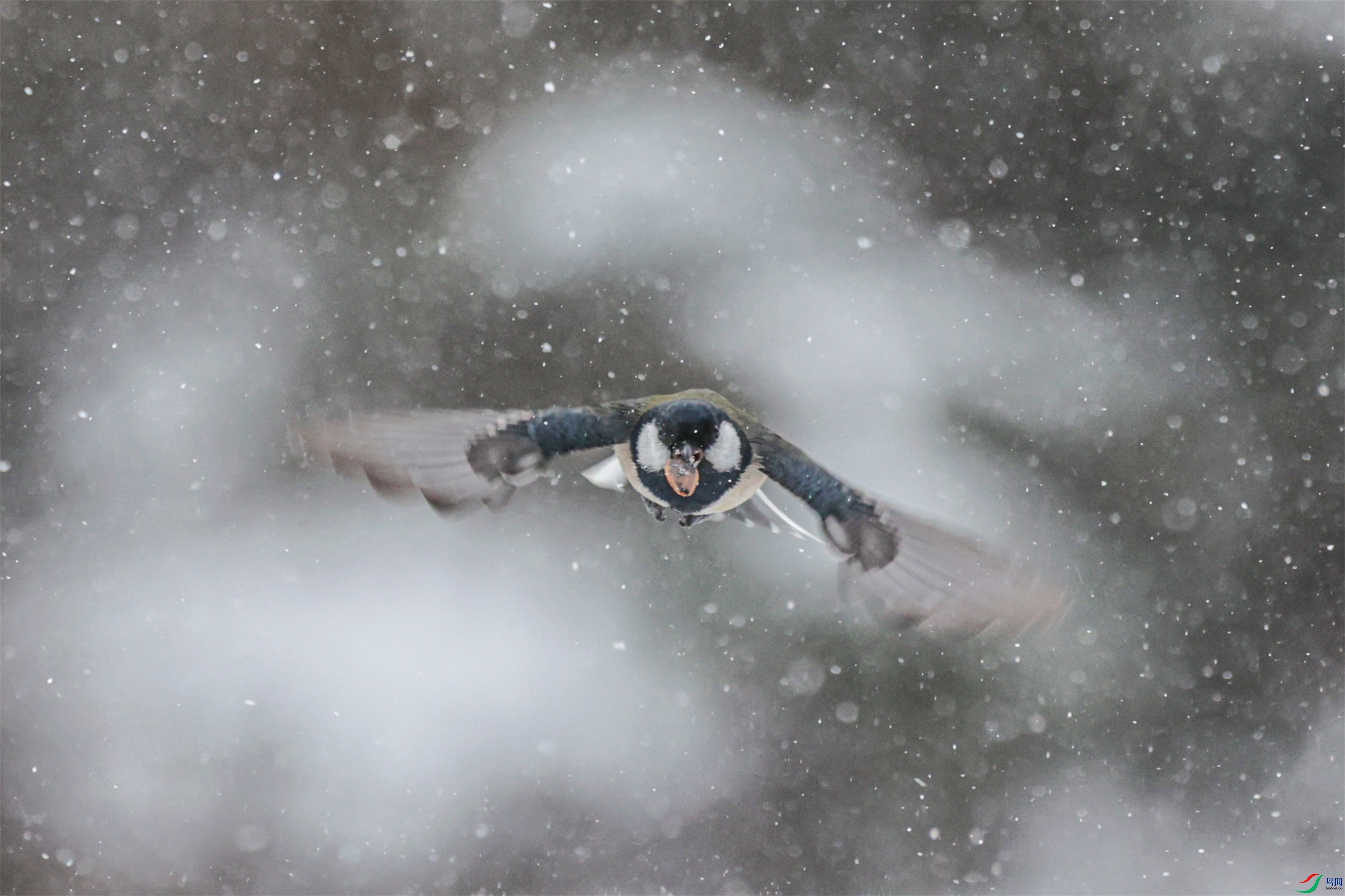 1K3A5124 ����1.jpg