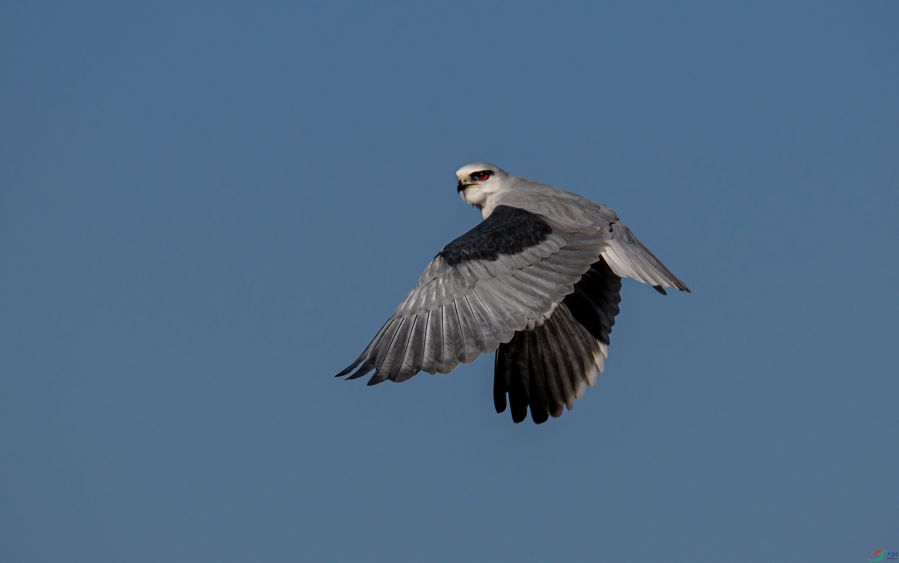 DSC_7035-1.jpg