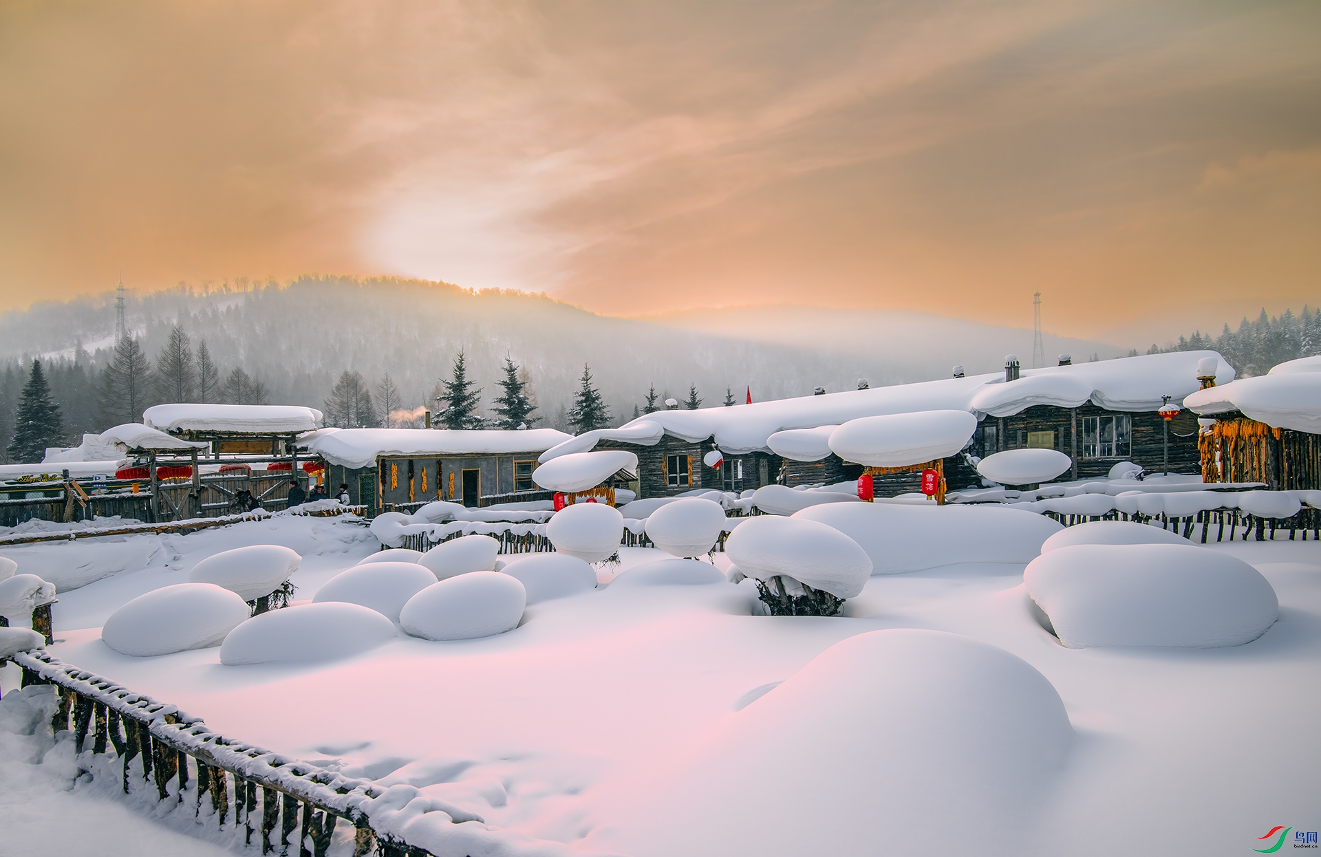 DSC_2470 - ����ӳ��ѩĢ��.jpg