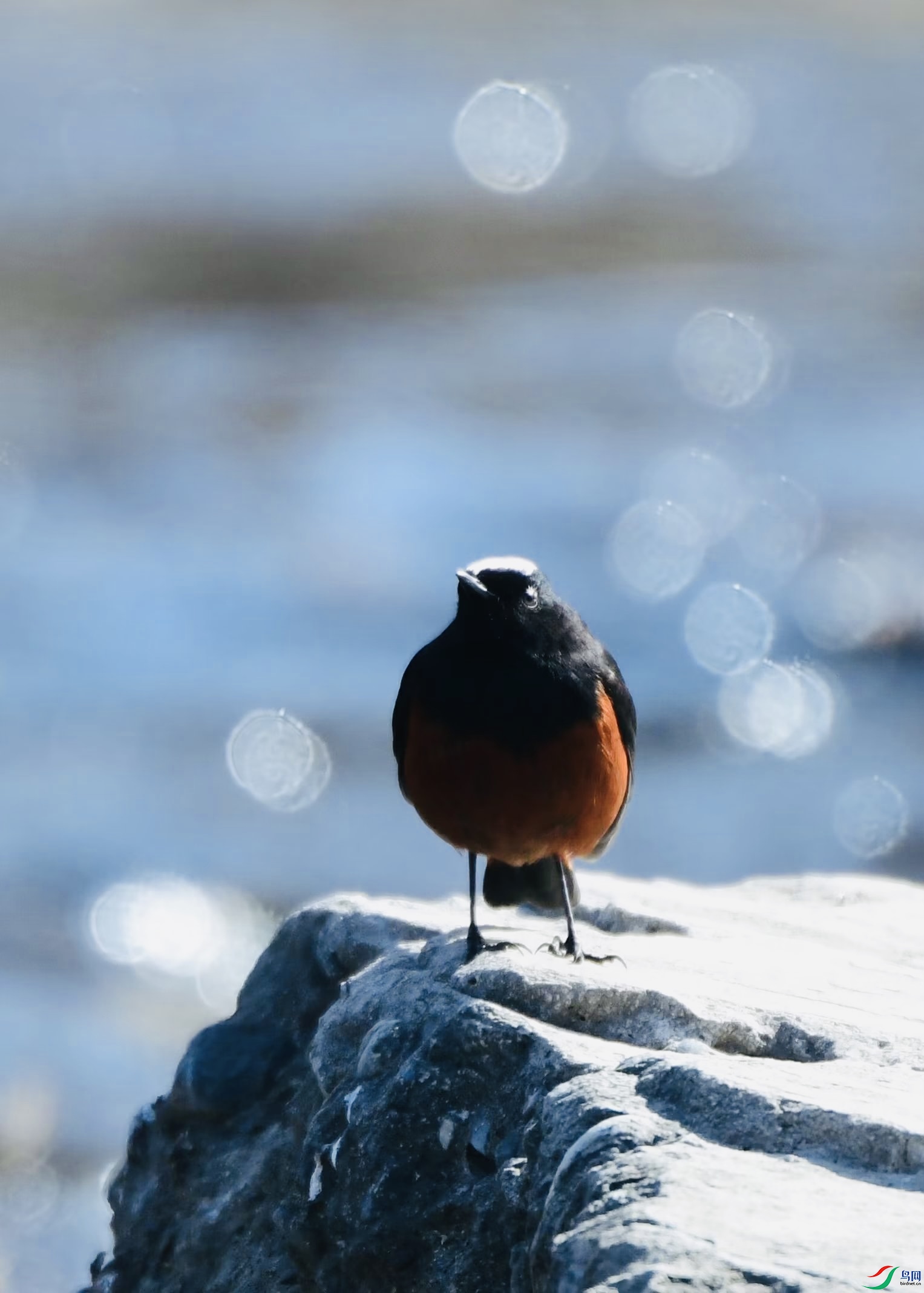 907FA099-33D2-412D-A3AB-6218E83D45F4.jpeg