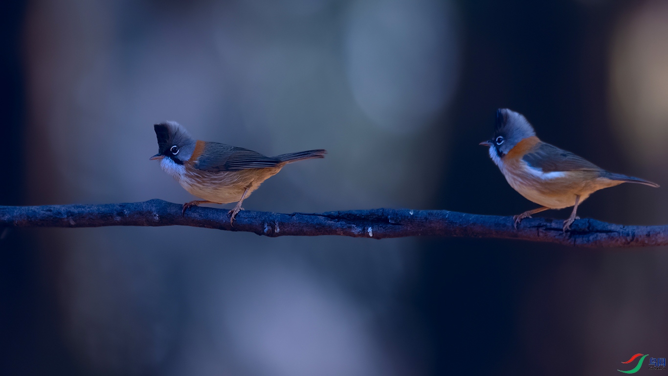 DSC_8133_DxOa.jpg