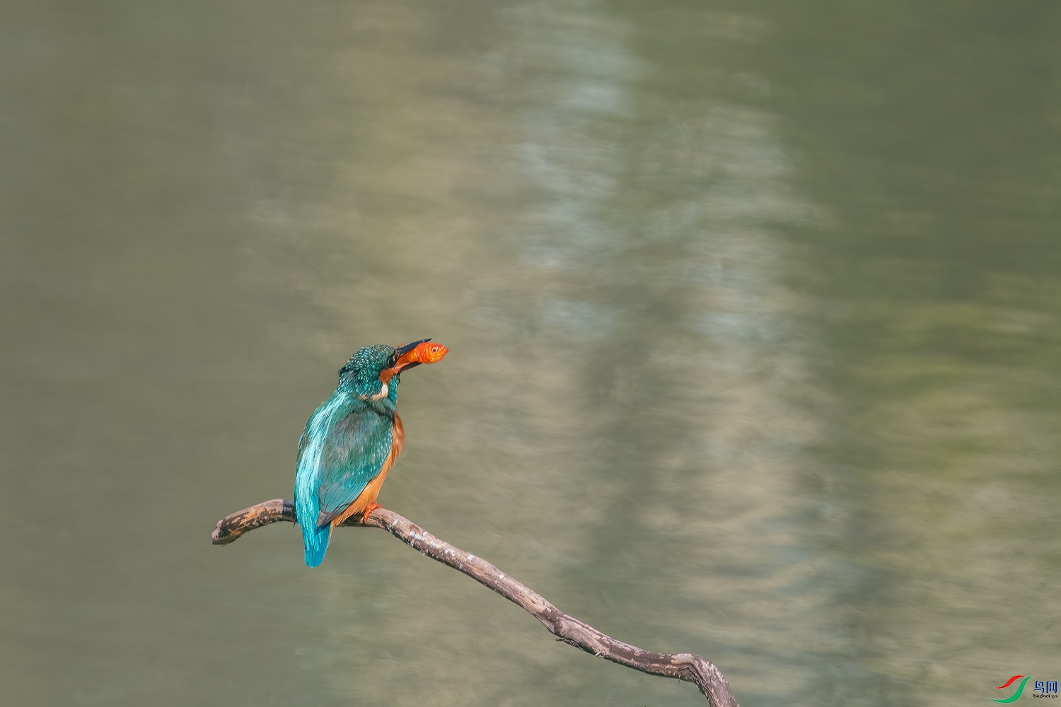 DSC_5414-2.jpg