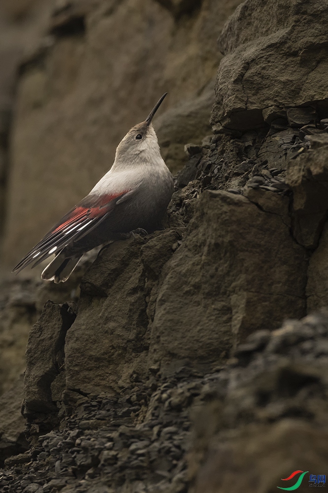 FX3A8522-2 ����.jpg