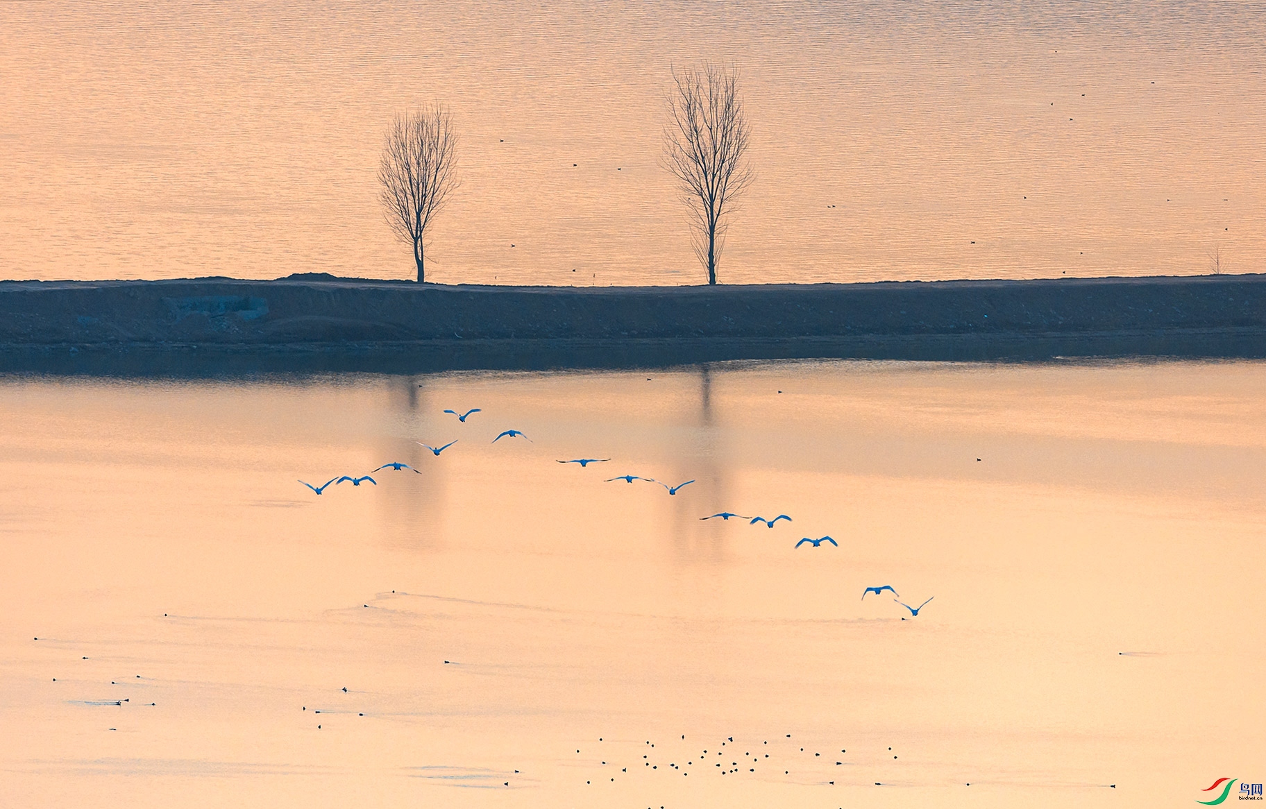 ���ڿ���