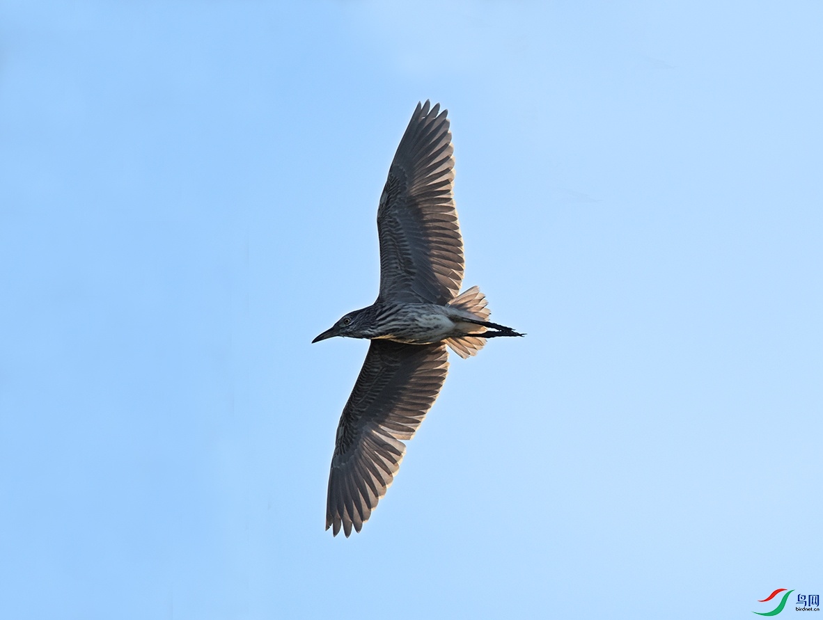 DSC_2640f_��ͼ��.jpg