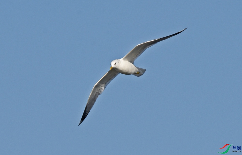 DSC_3822.jpg