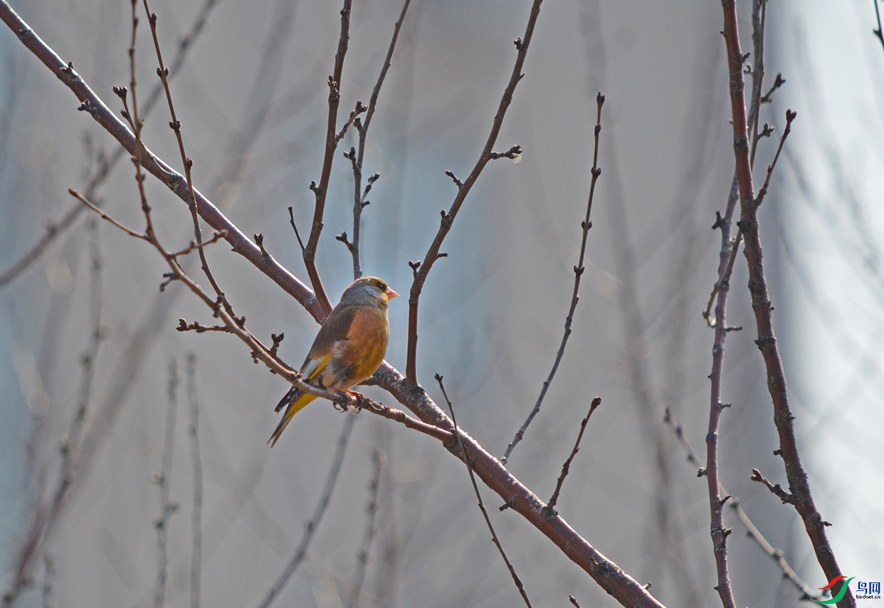 DSC_00302.jpg