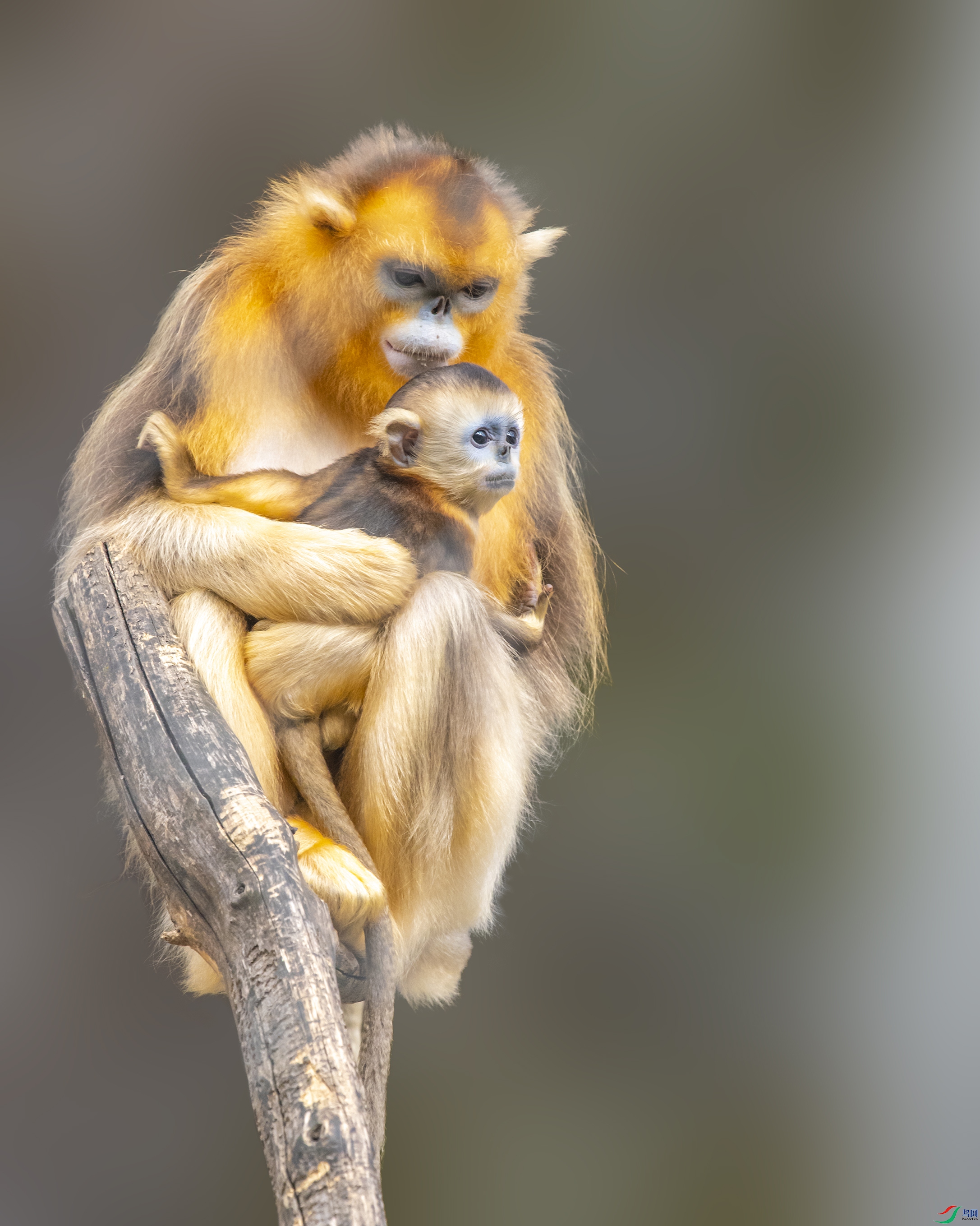 1586 ����.jpg