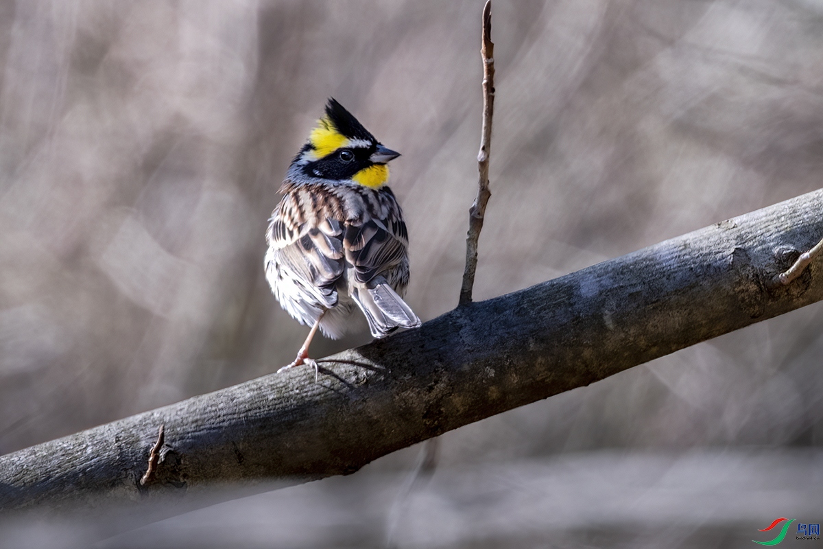 DSCF5061.jpg