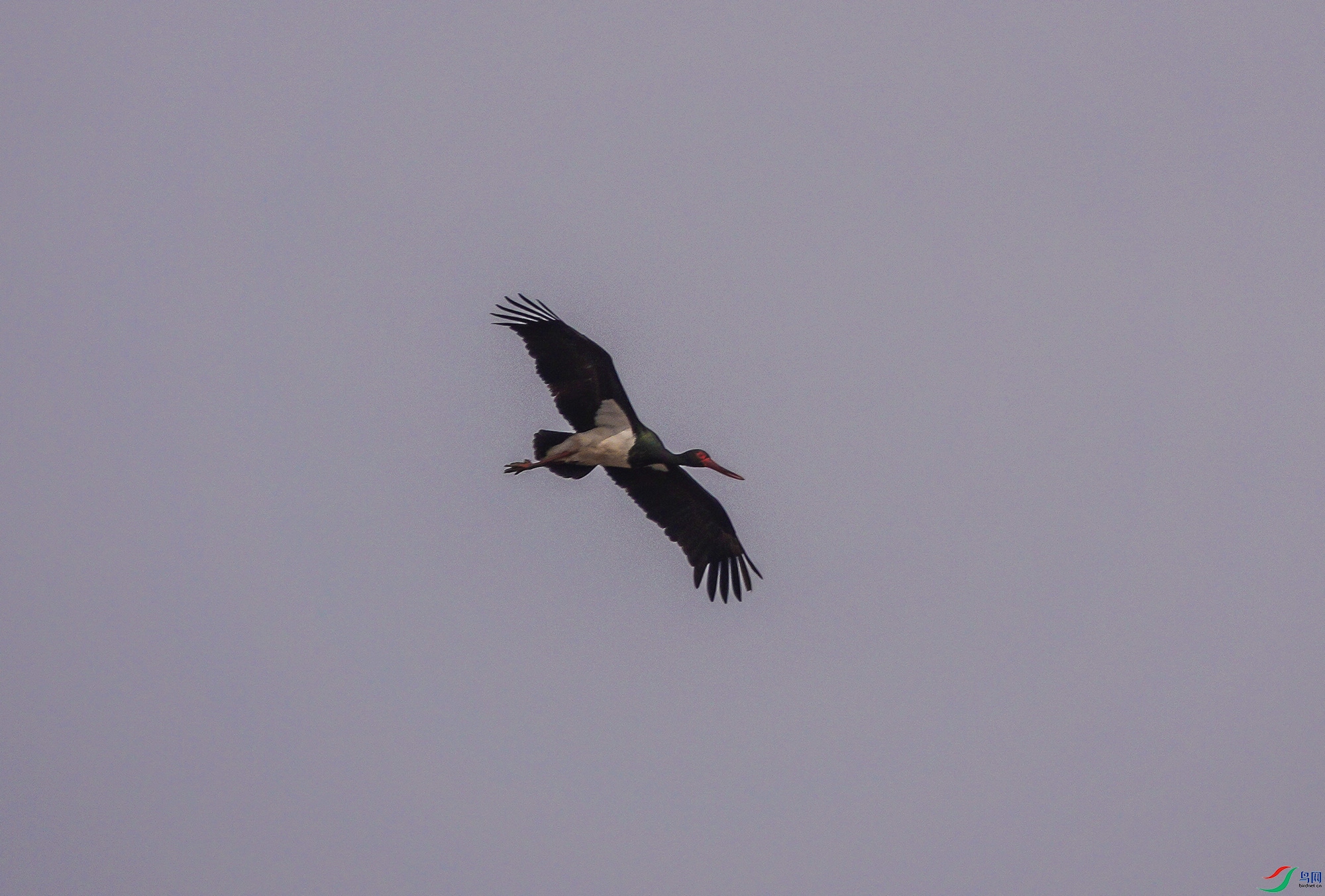 DSC01109aab.jpg