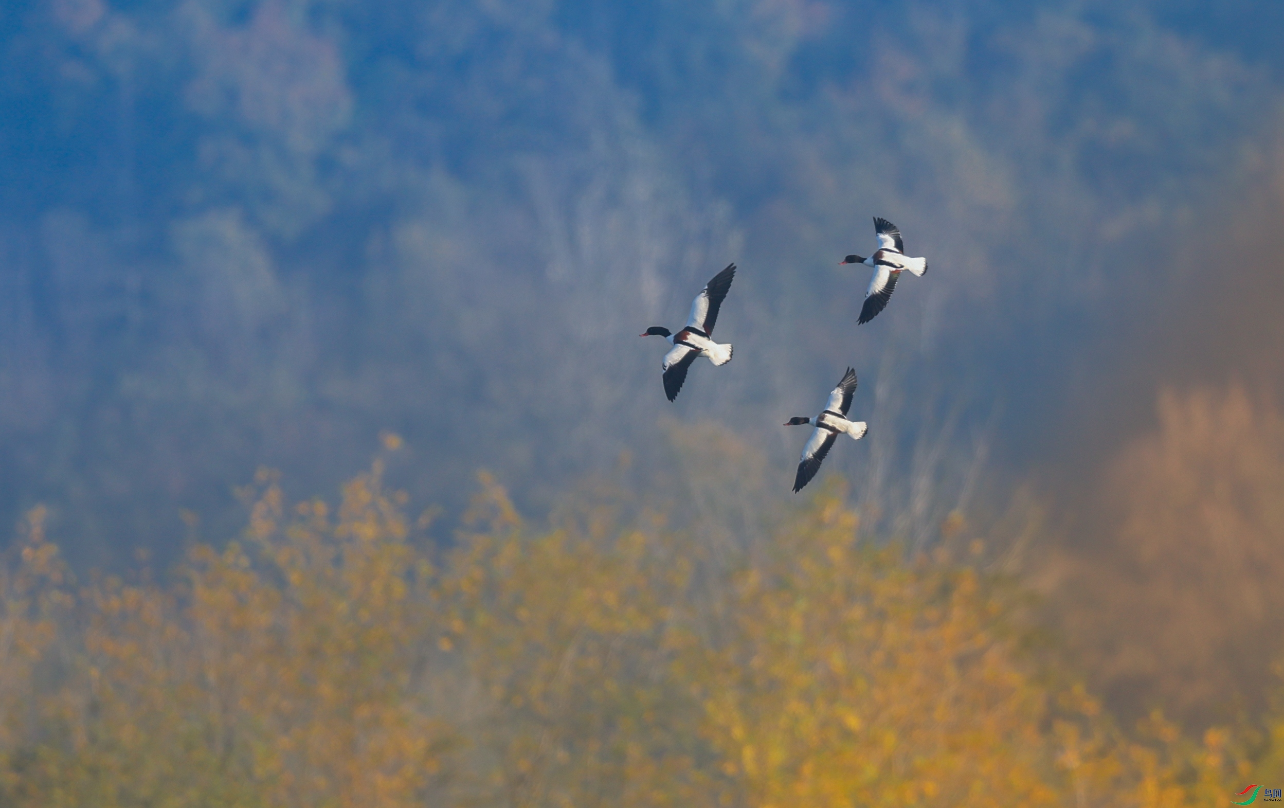 ����083A1189.jpg