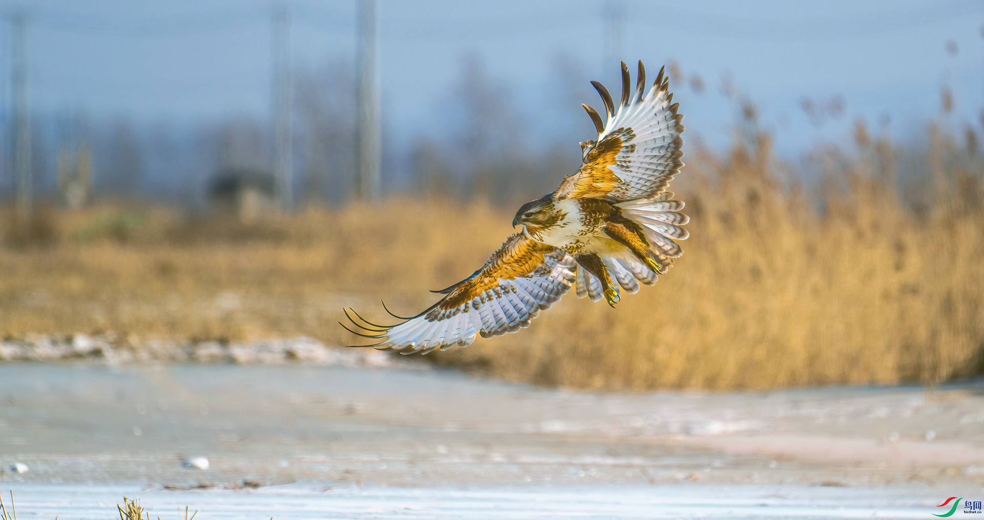 DSC_9786==1w.jpg