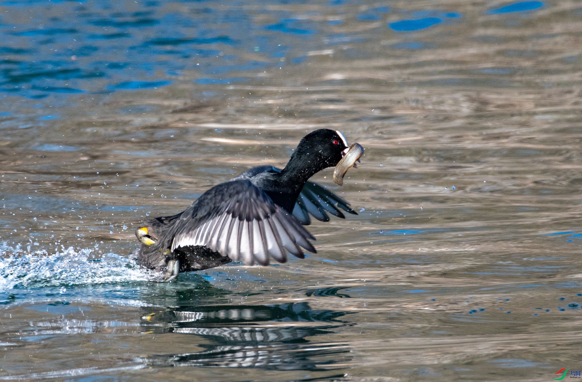 DSC_4063.jpg