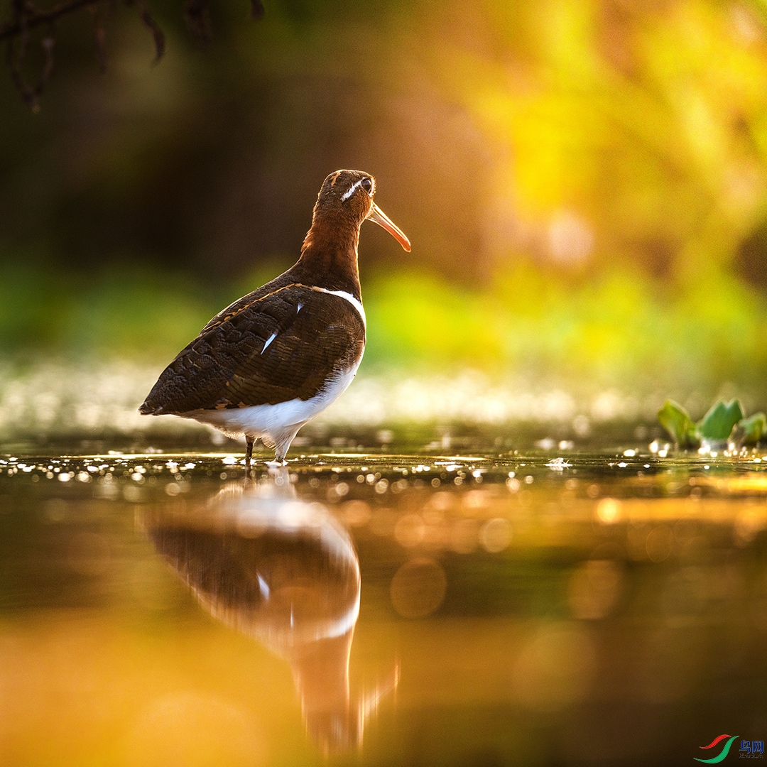 DSC_7308-1.jpg