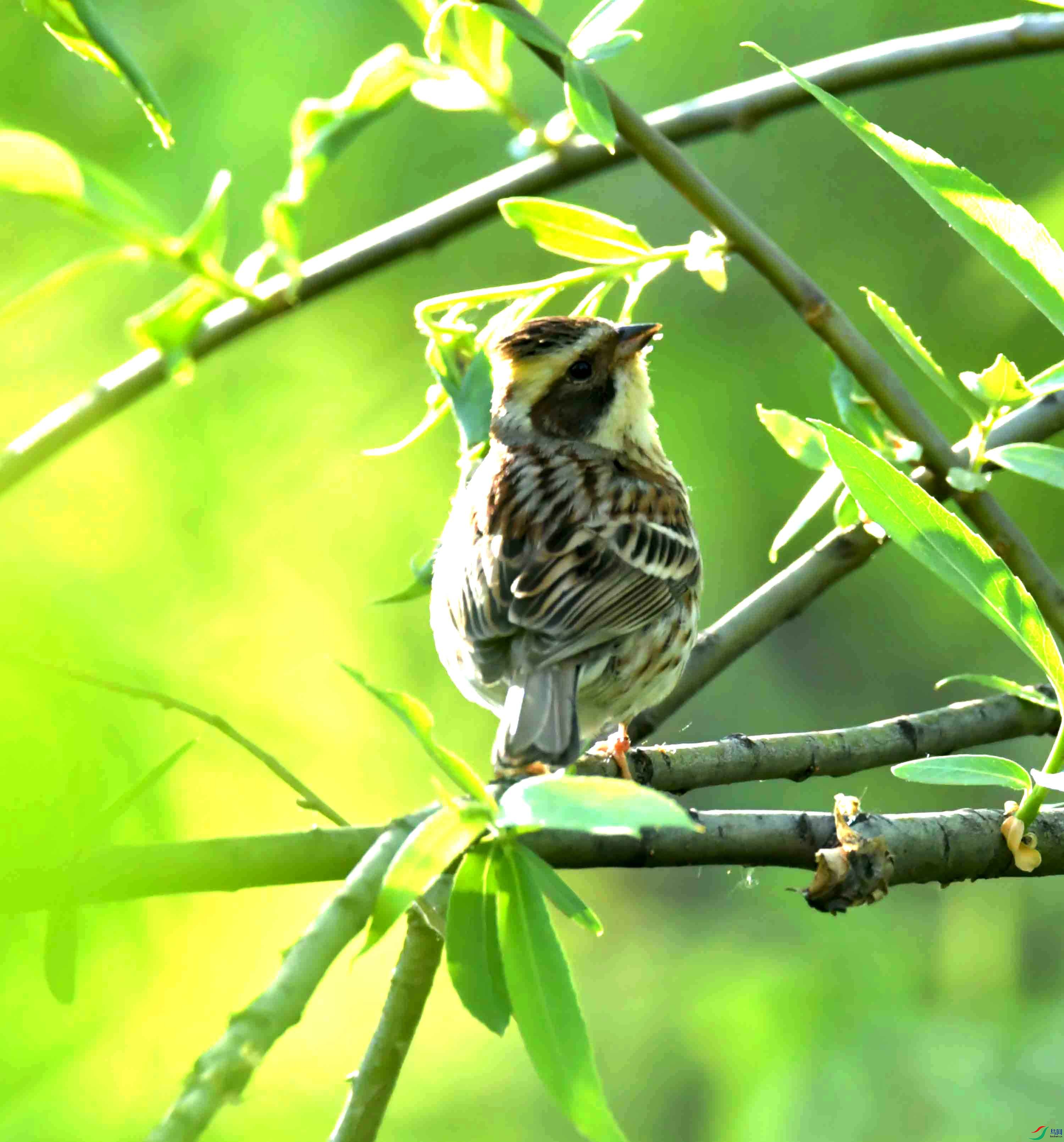 DSC_1254.JPG
