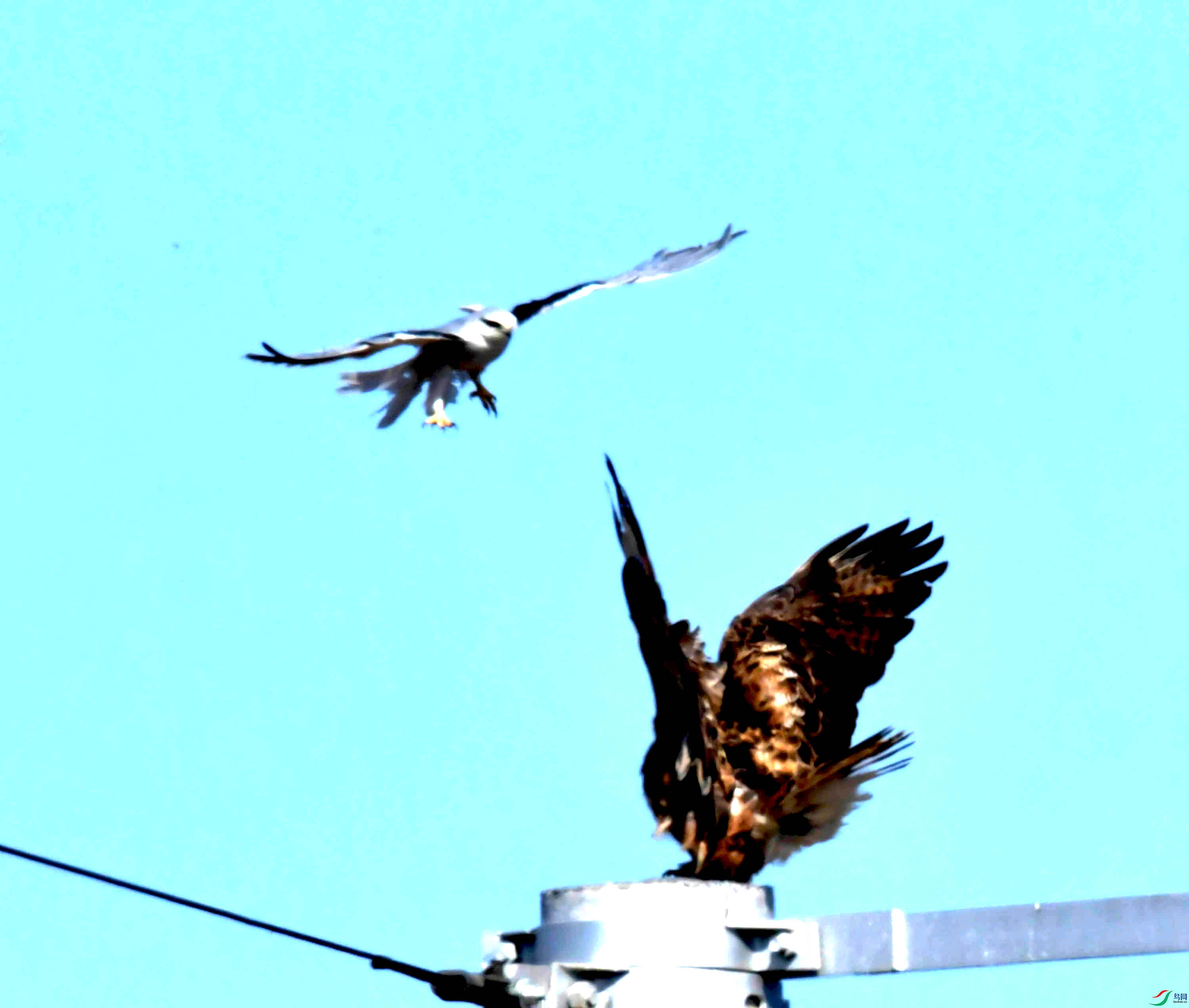 DSC_8095.JPG