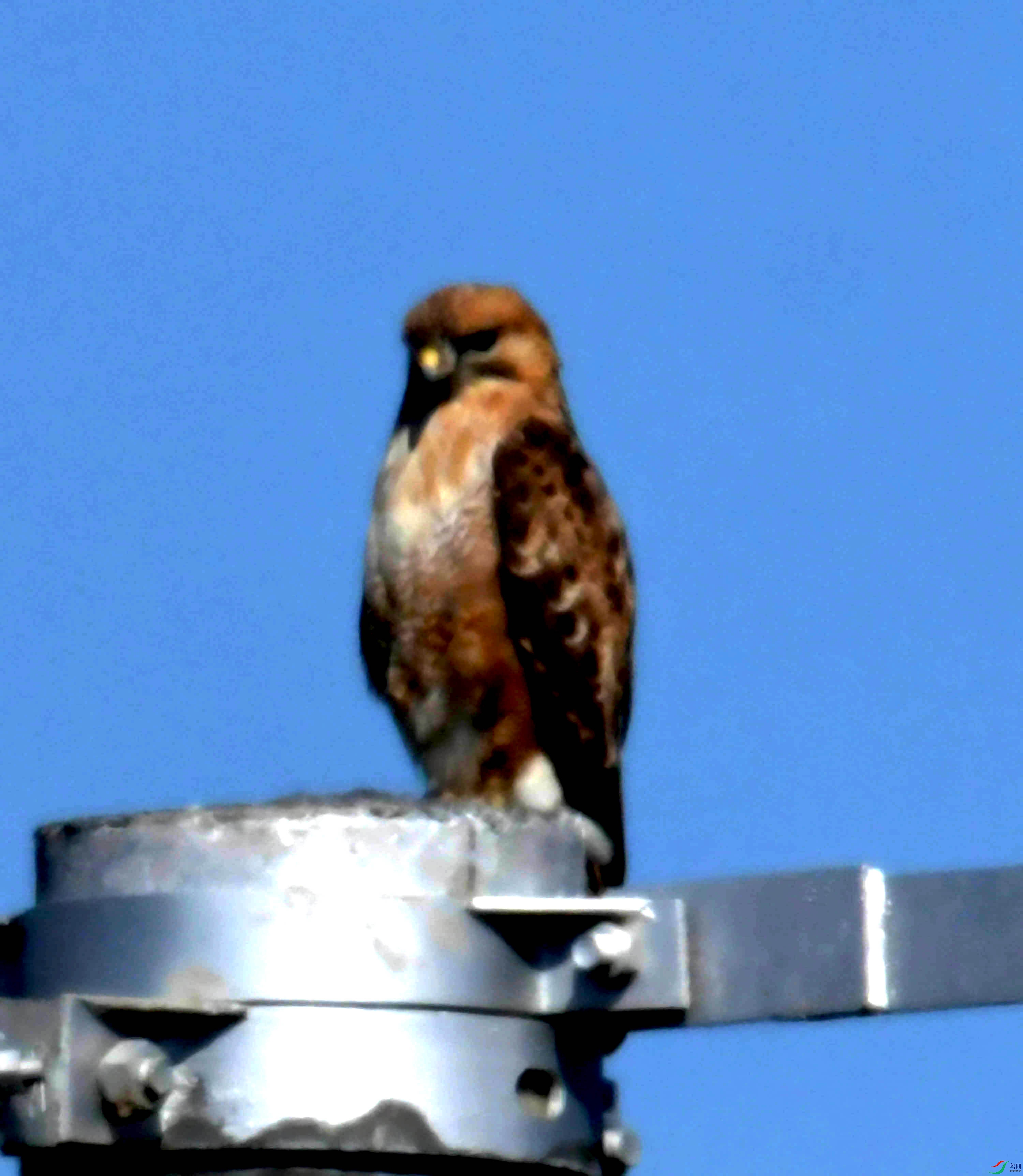 DSC_8079.JPG