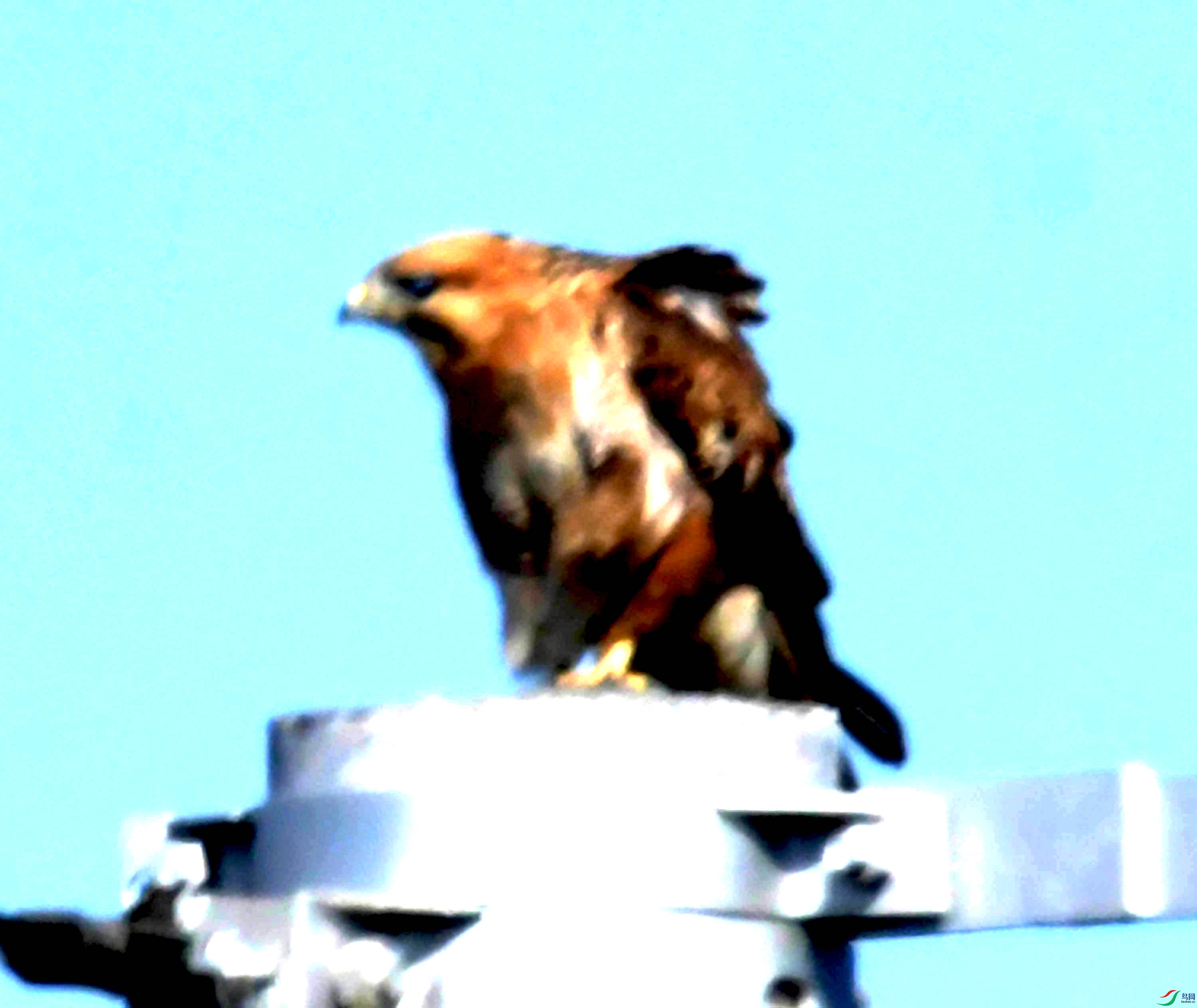 DSC_8110.JPG