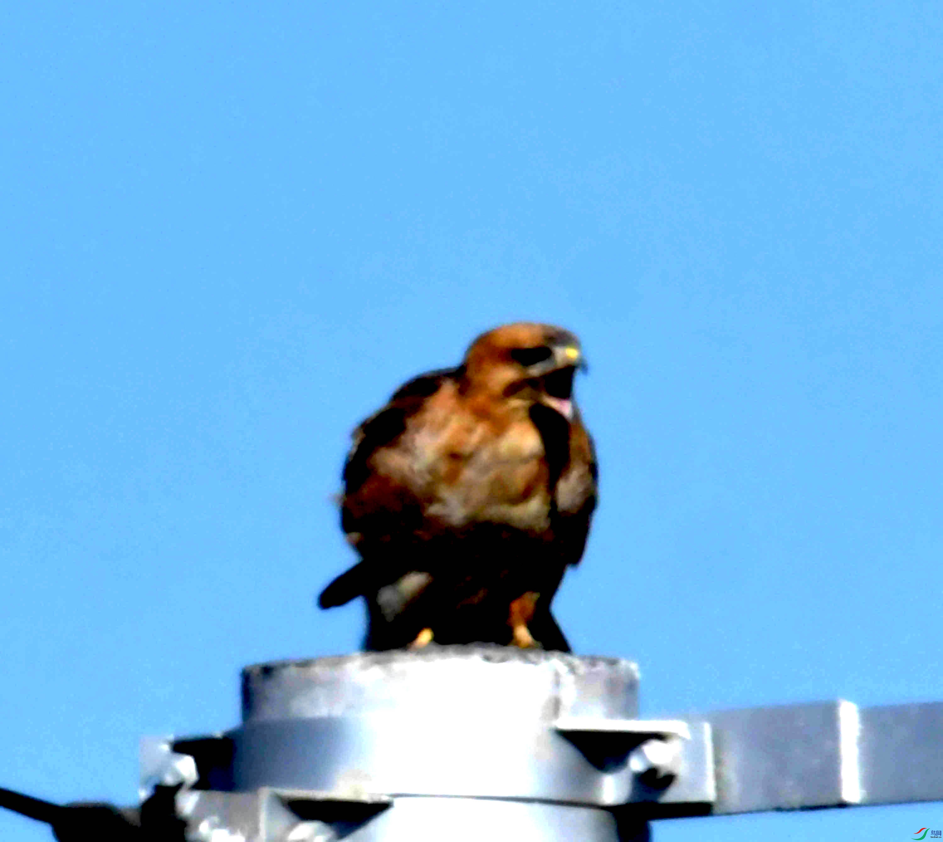 DSC_8122.JPG