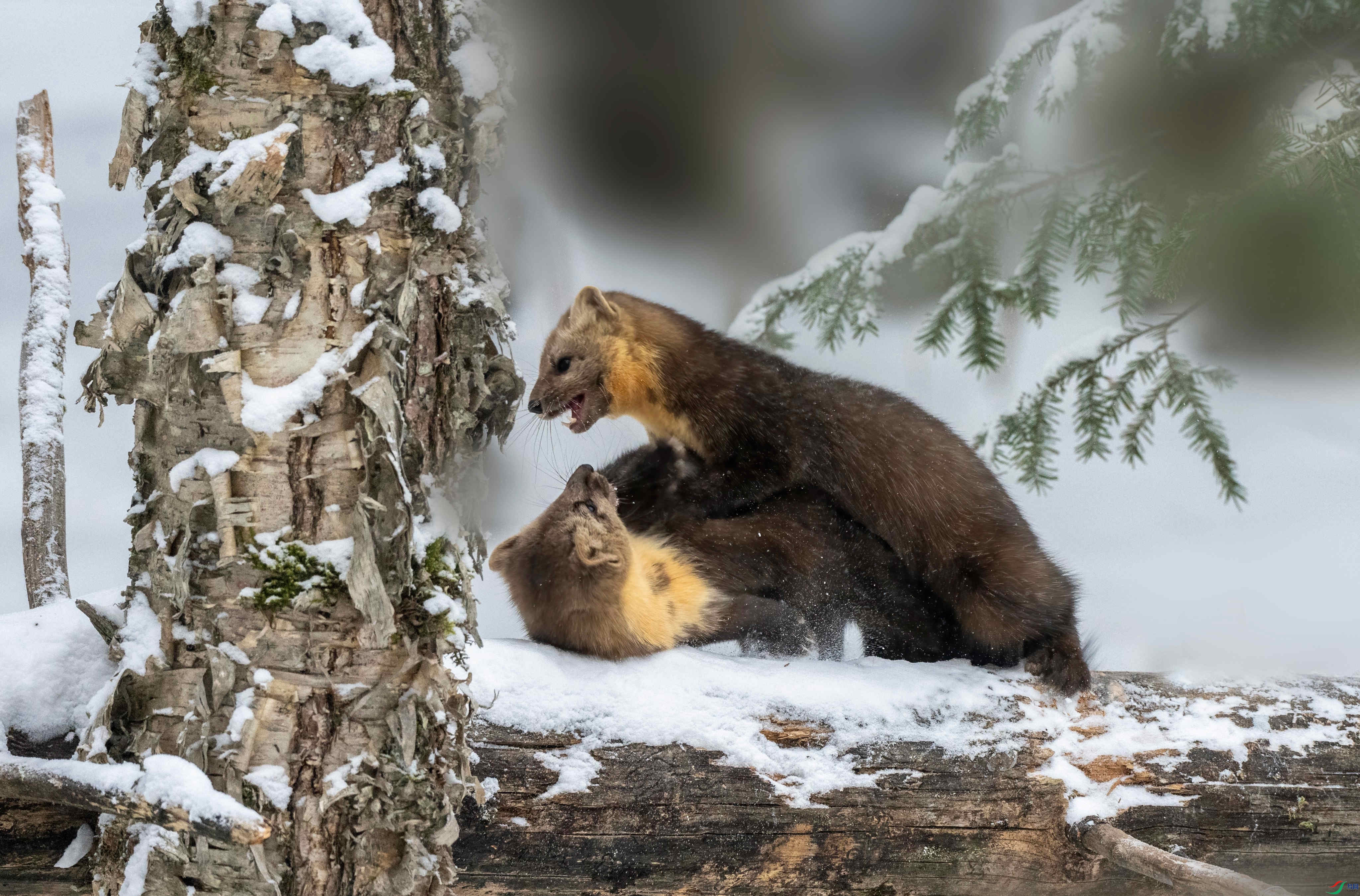 24_polarr_2.jpg