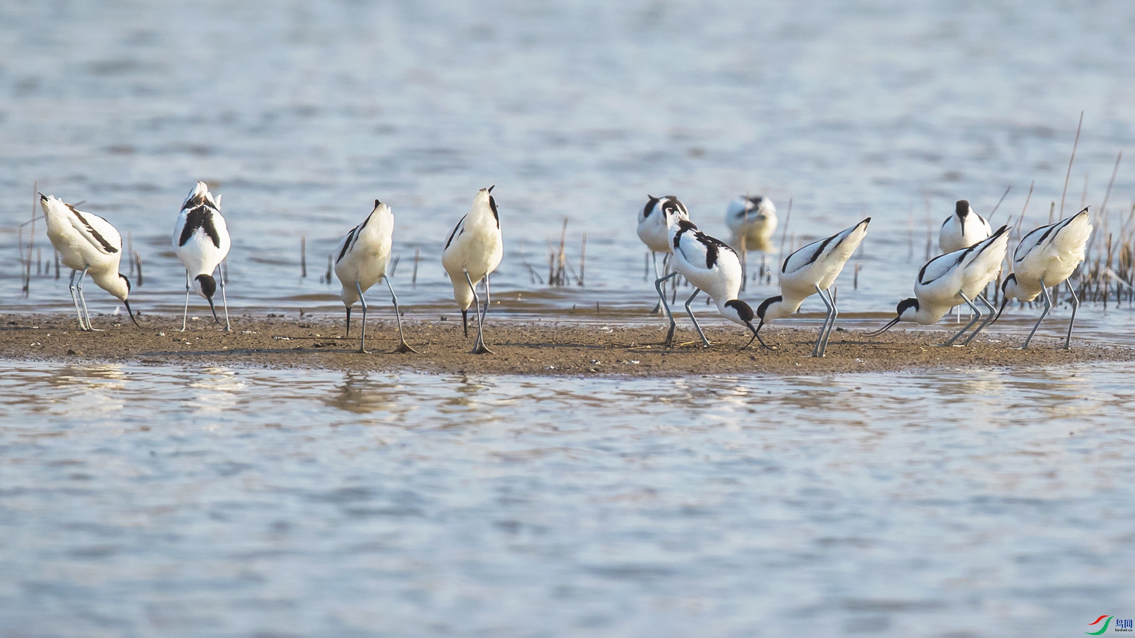 _90I6268 ����.jpg