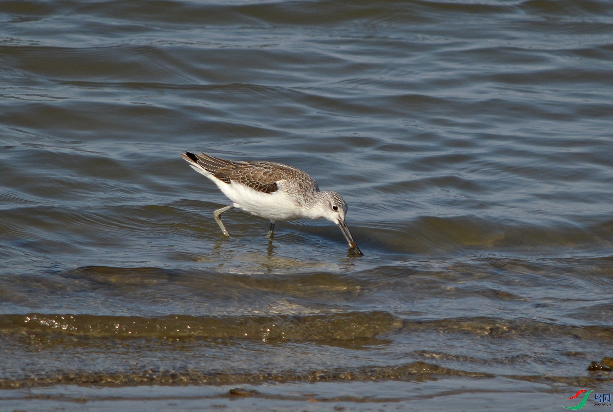 DSC_0839.jpg