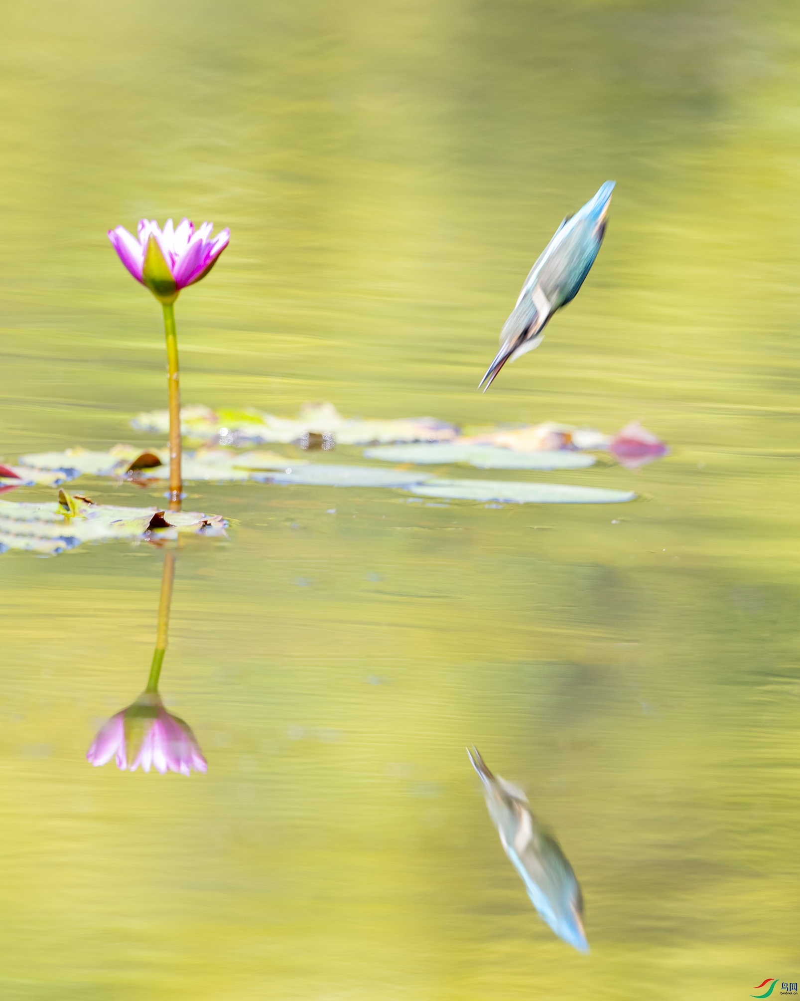 0331 ����.jpg