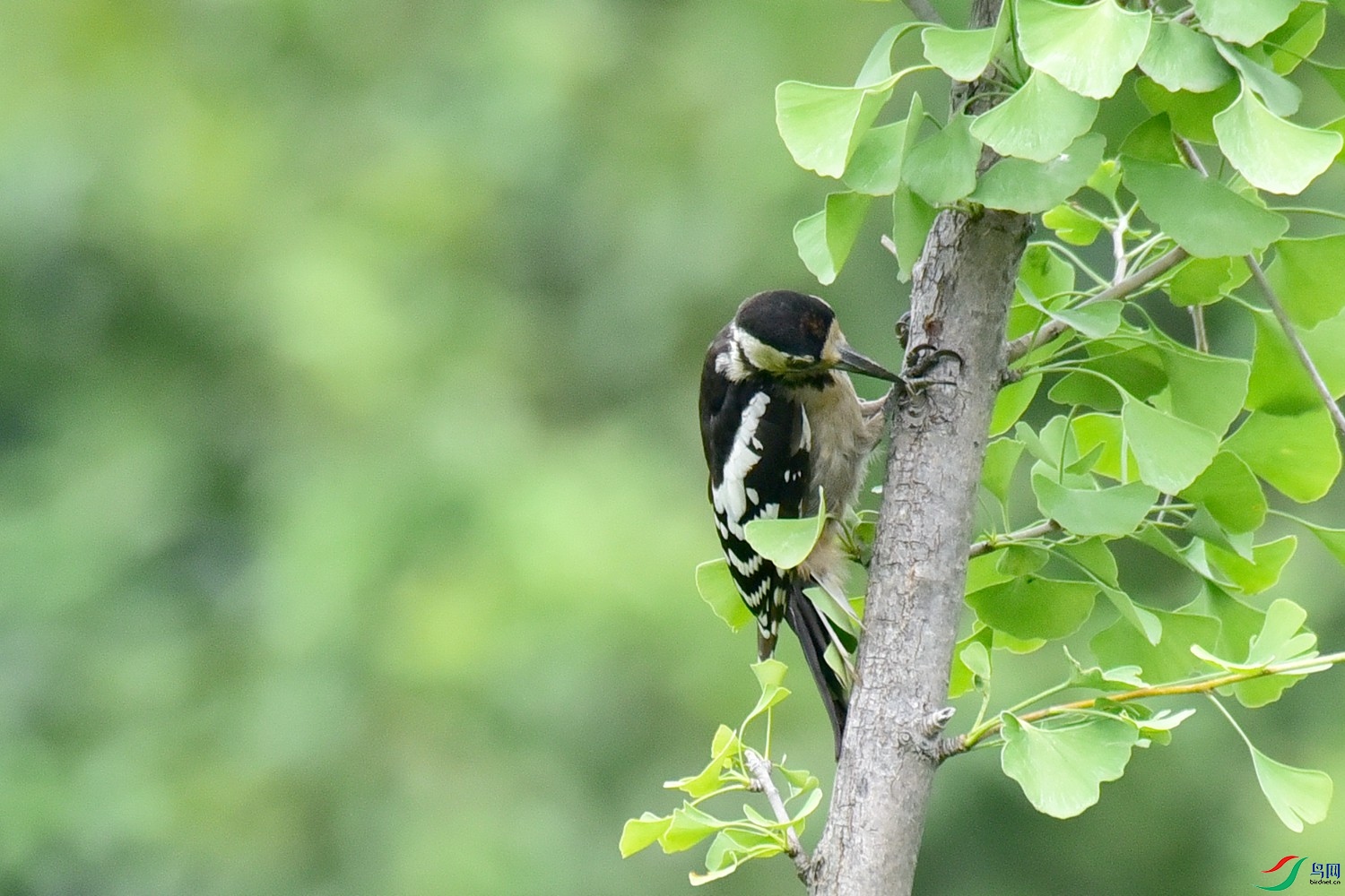 DSC_1157.JPG