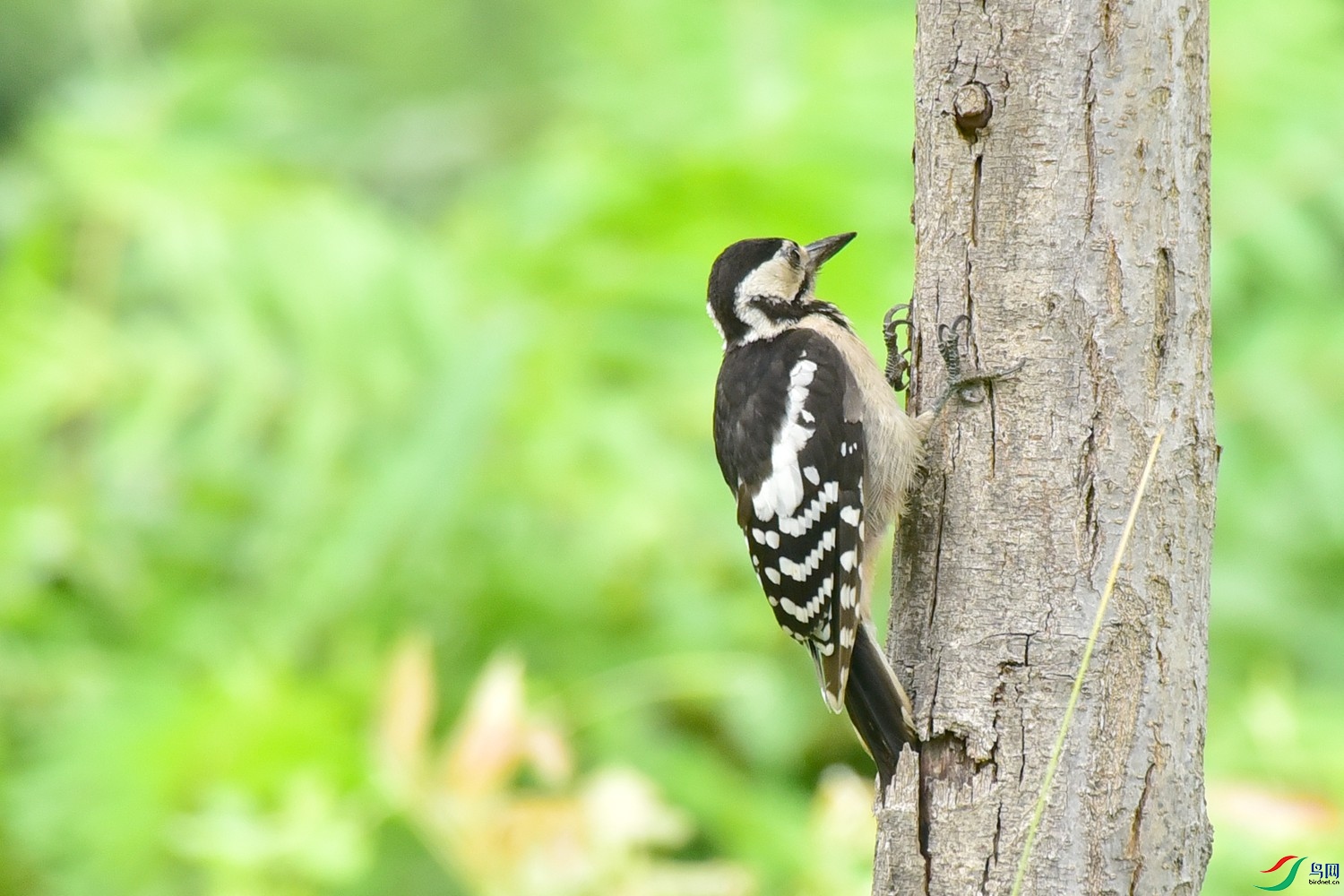 DSC_1116.JPG