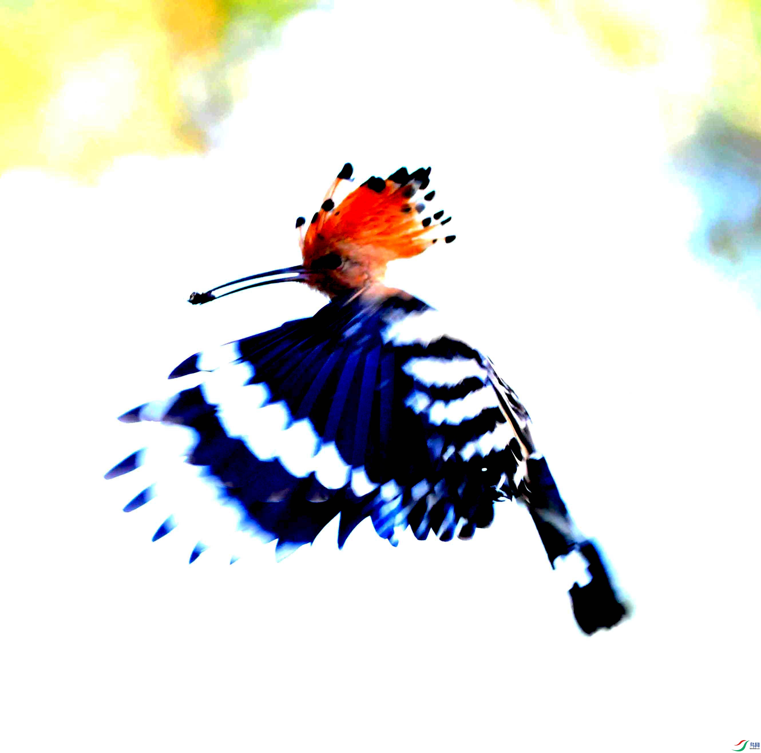 DSC_0657.JPG