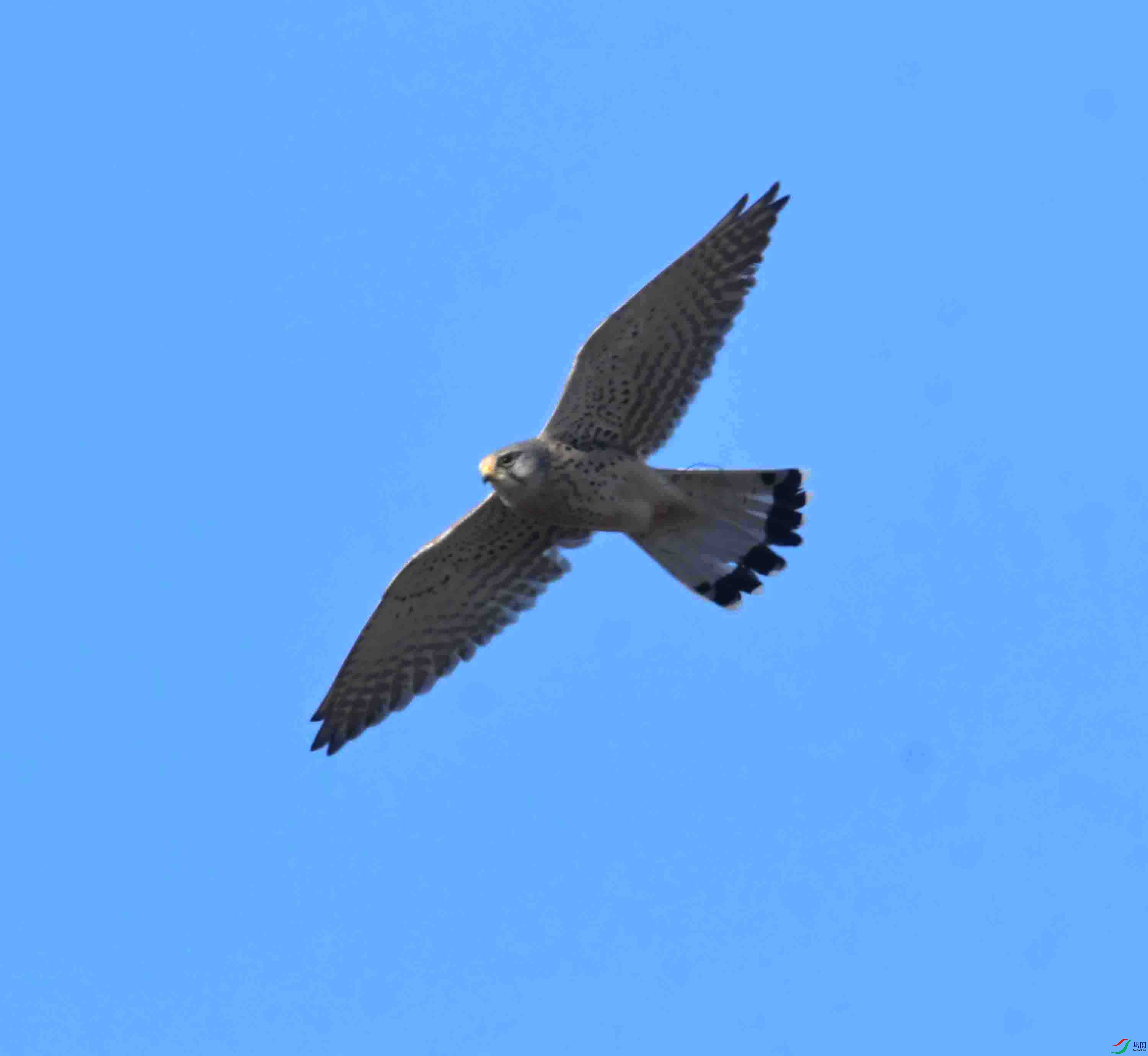 DSC_0285.JPG