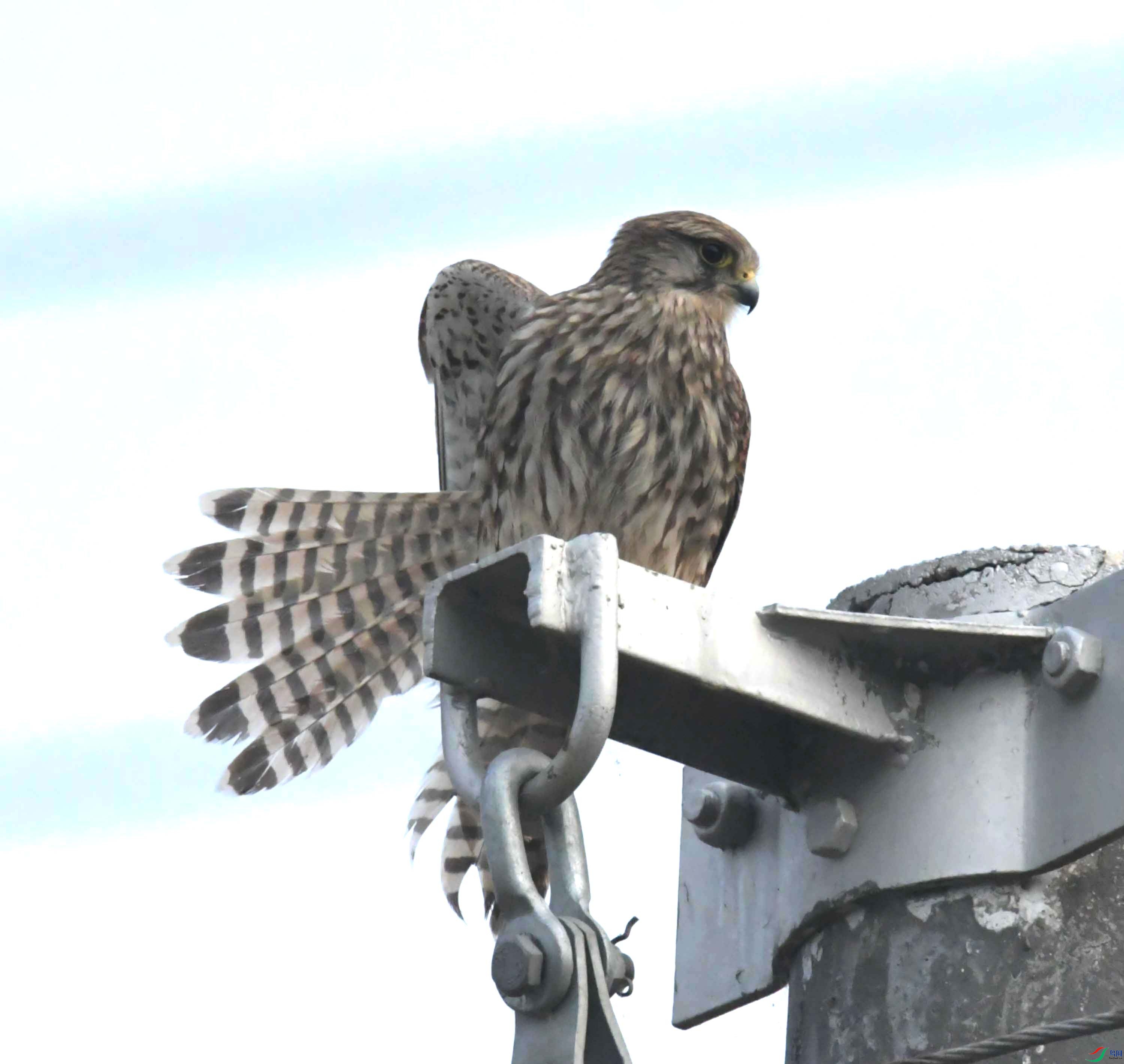 DSC_0424.JPG