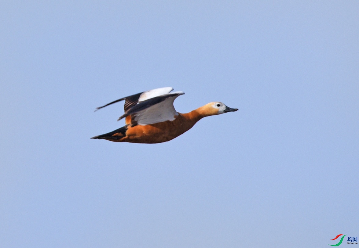 DSC_5256.jpg