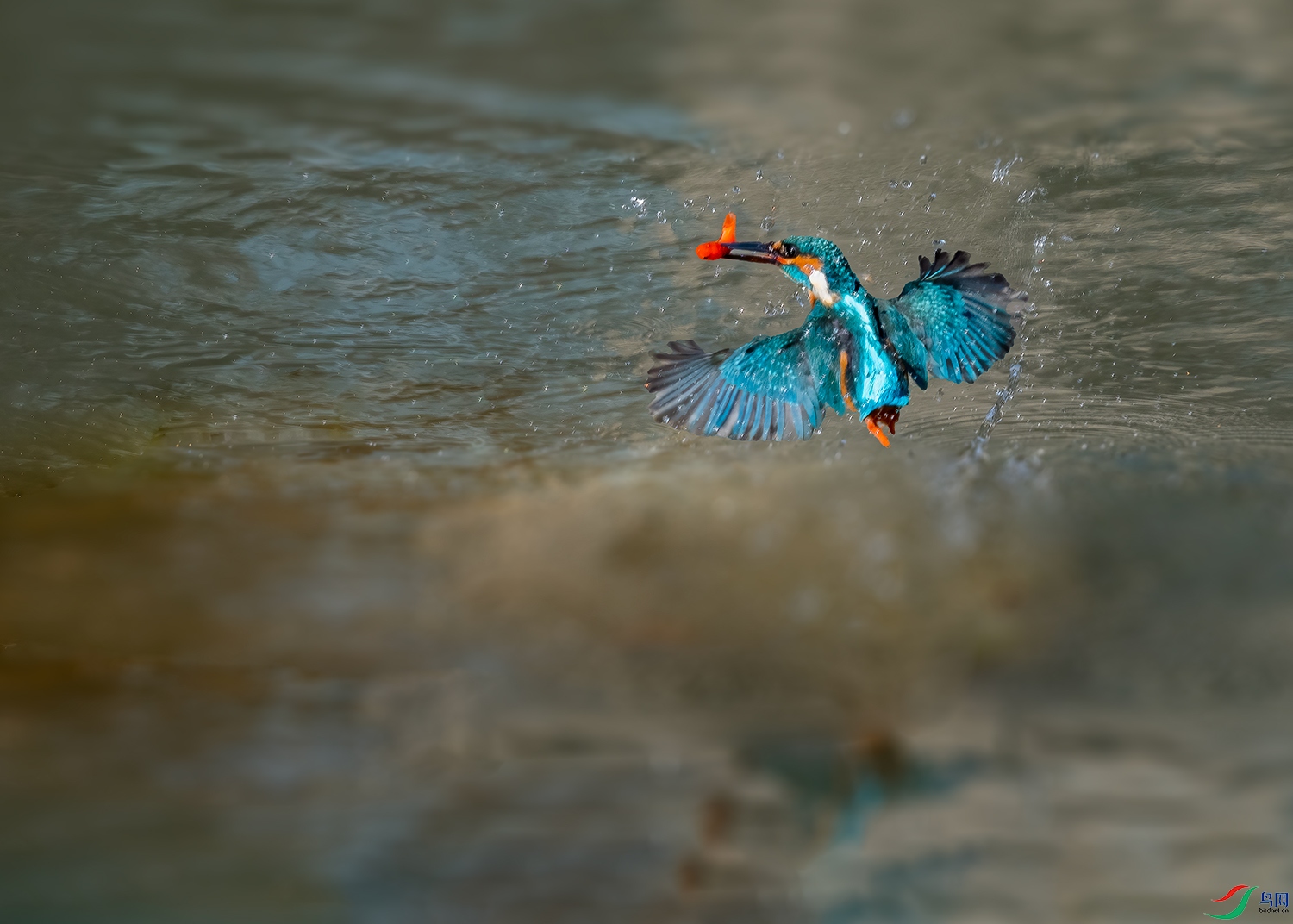 DSC_5702-2.jpg