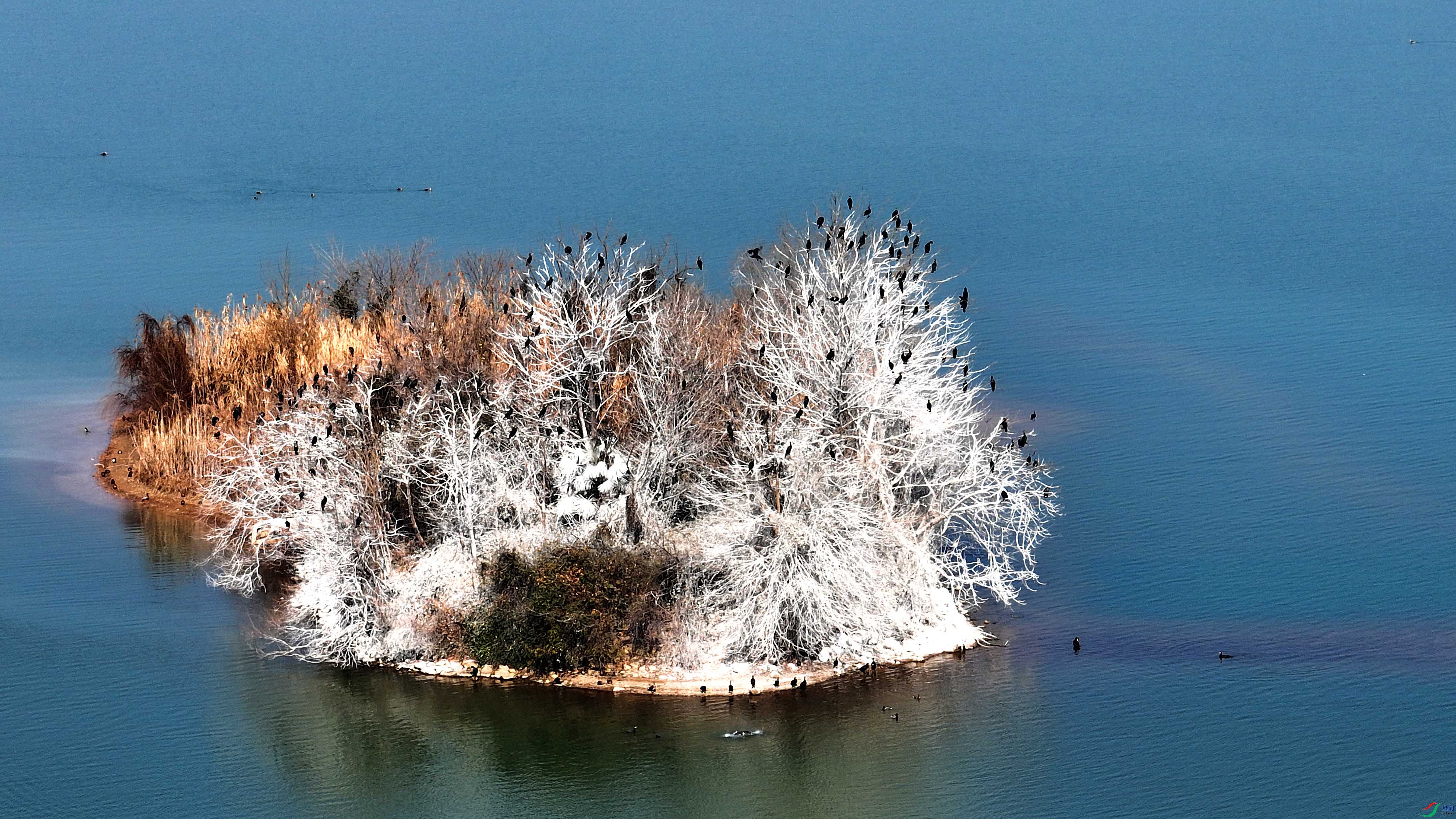 DJI_0523.jpg