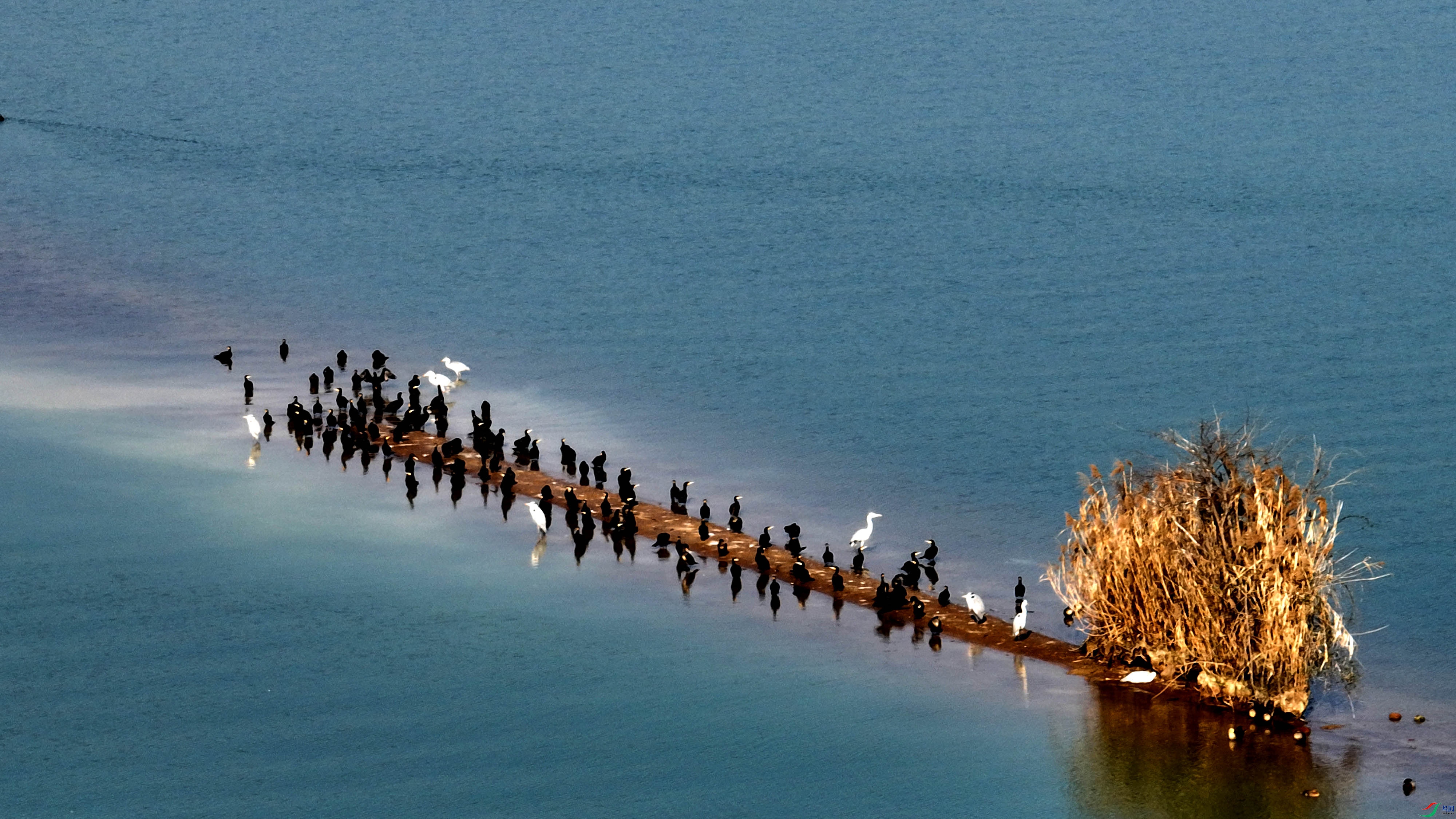 DJI_0667.jpg