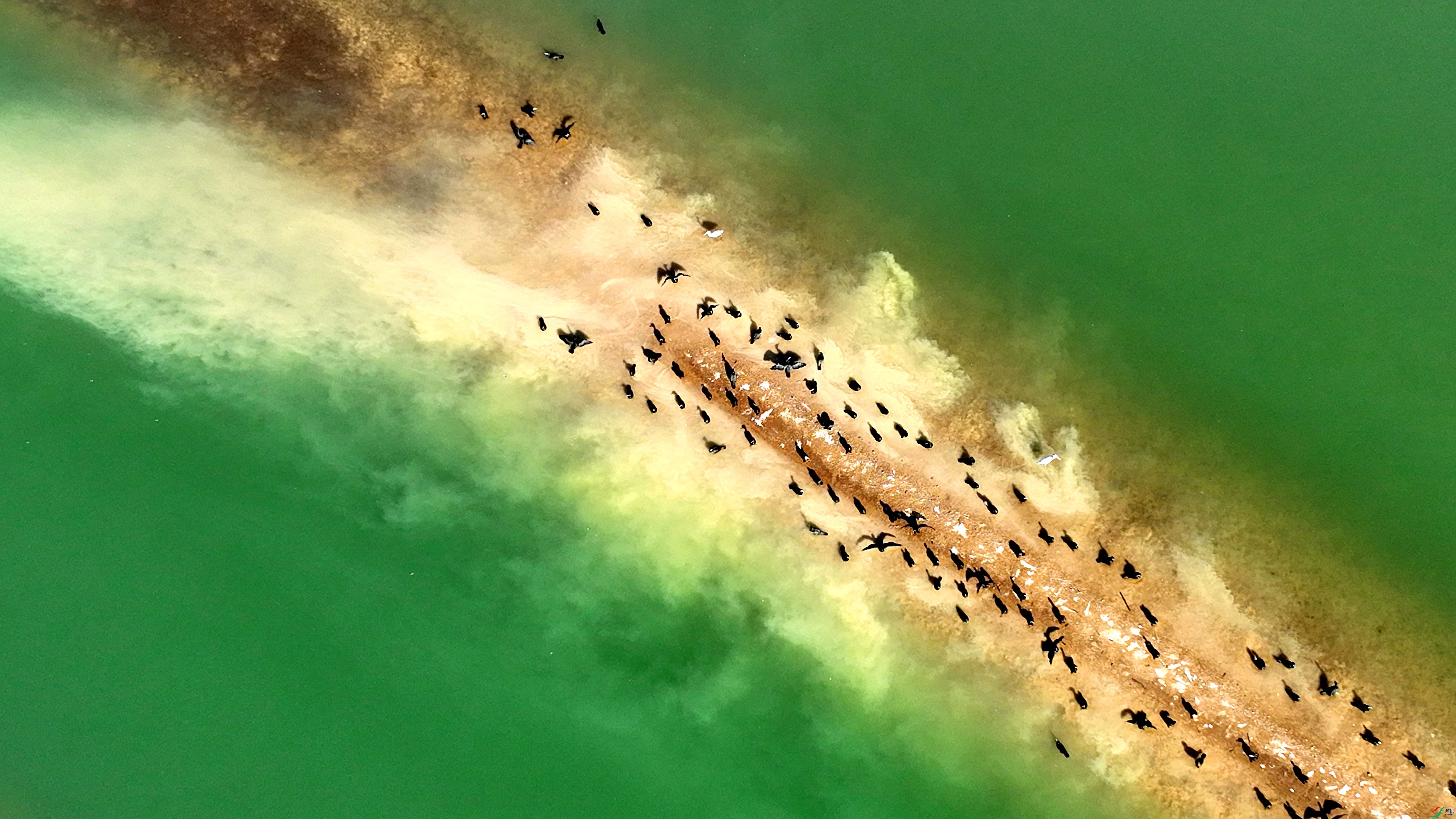 DJI_0653.jpg