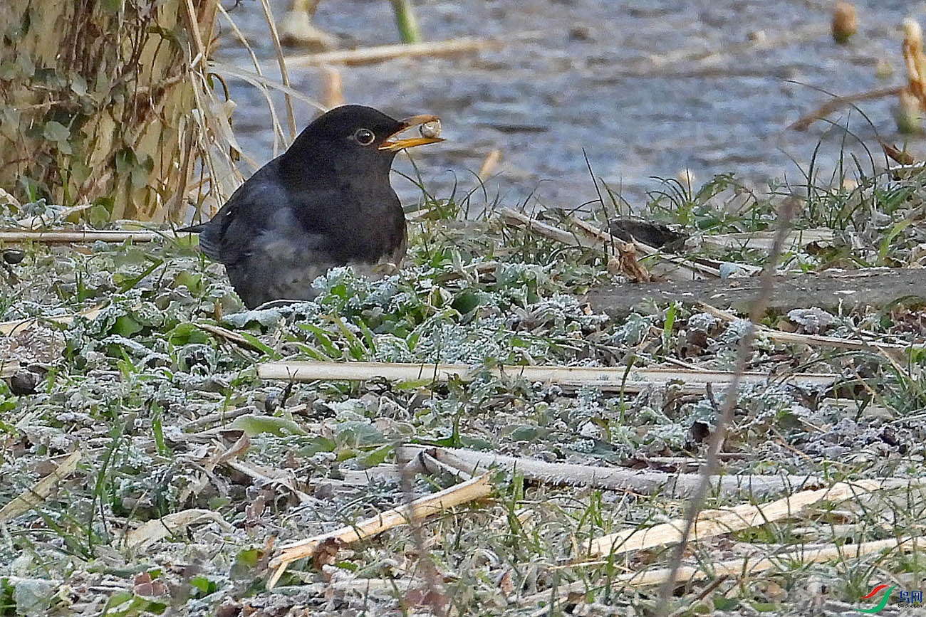 DSCN3396.jpg
