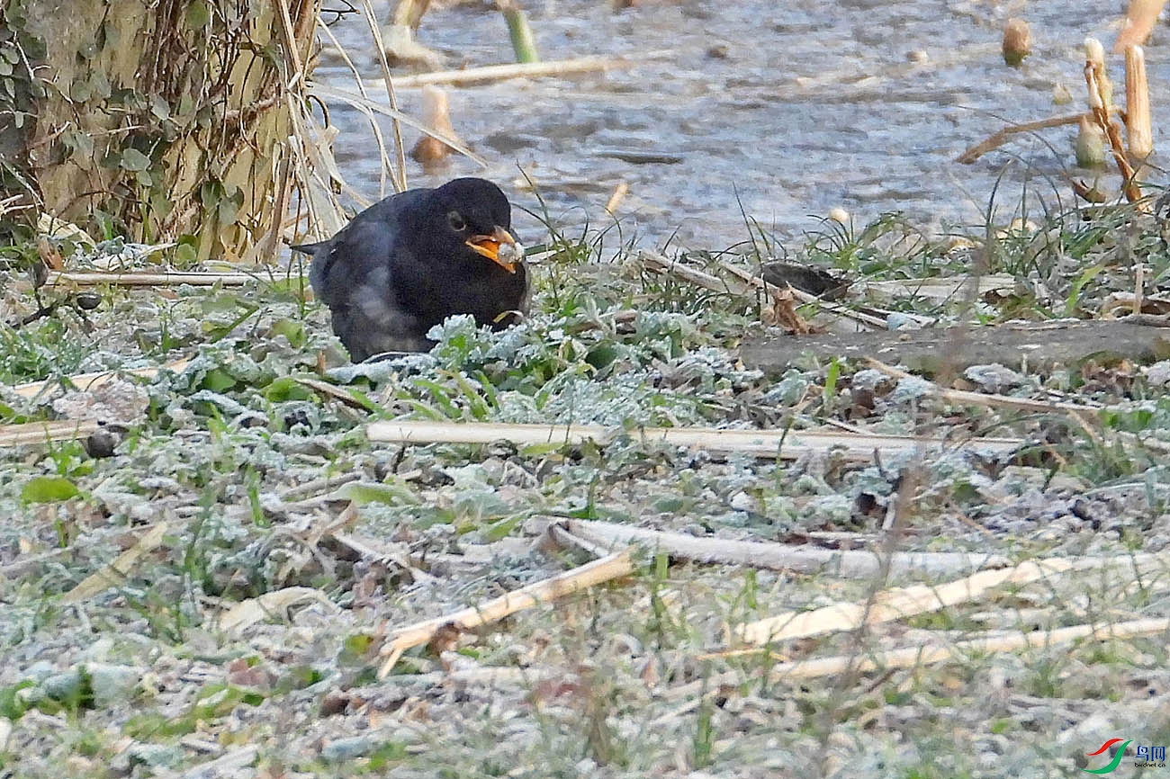 DSCN3392.jpg