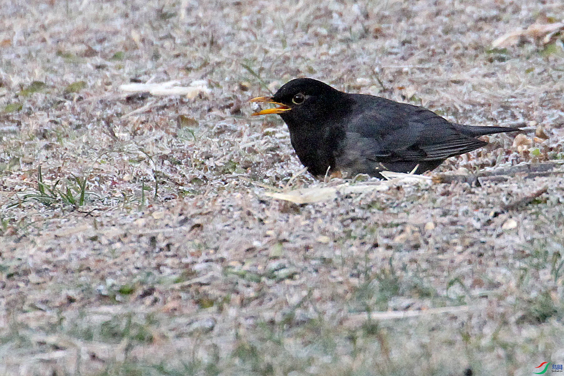 IMG_5654.JPG