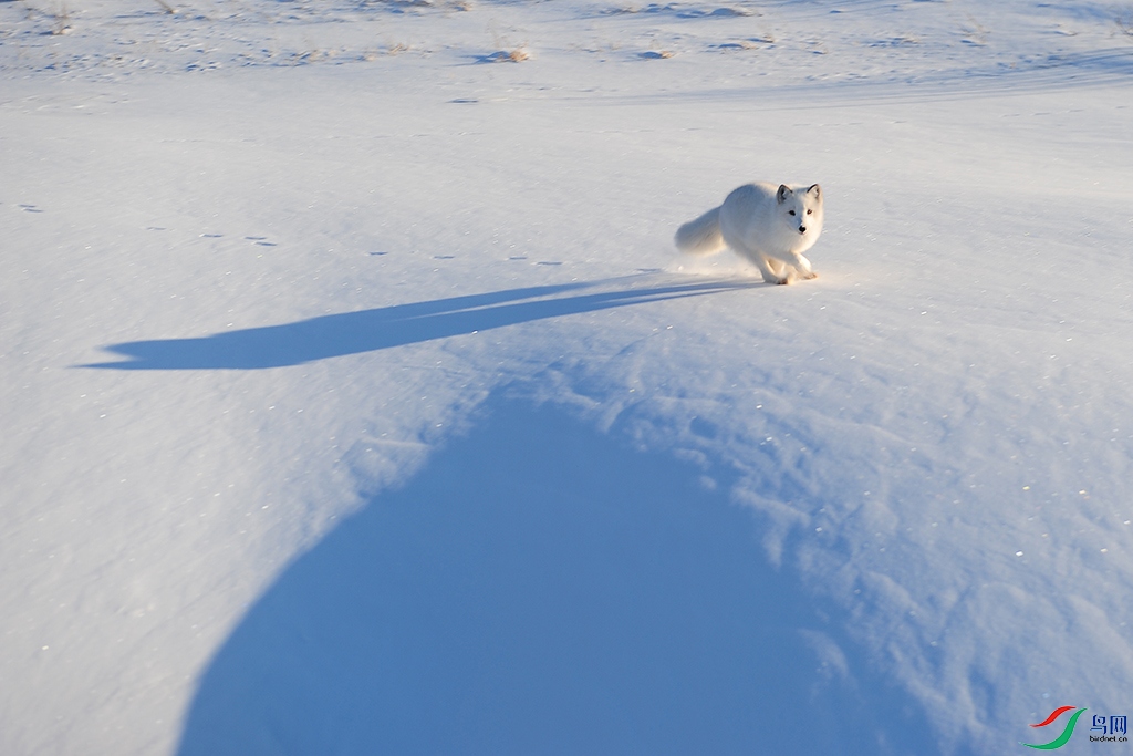 DSC_1516.jpg
