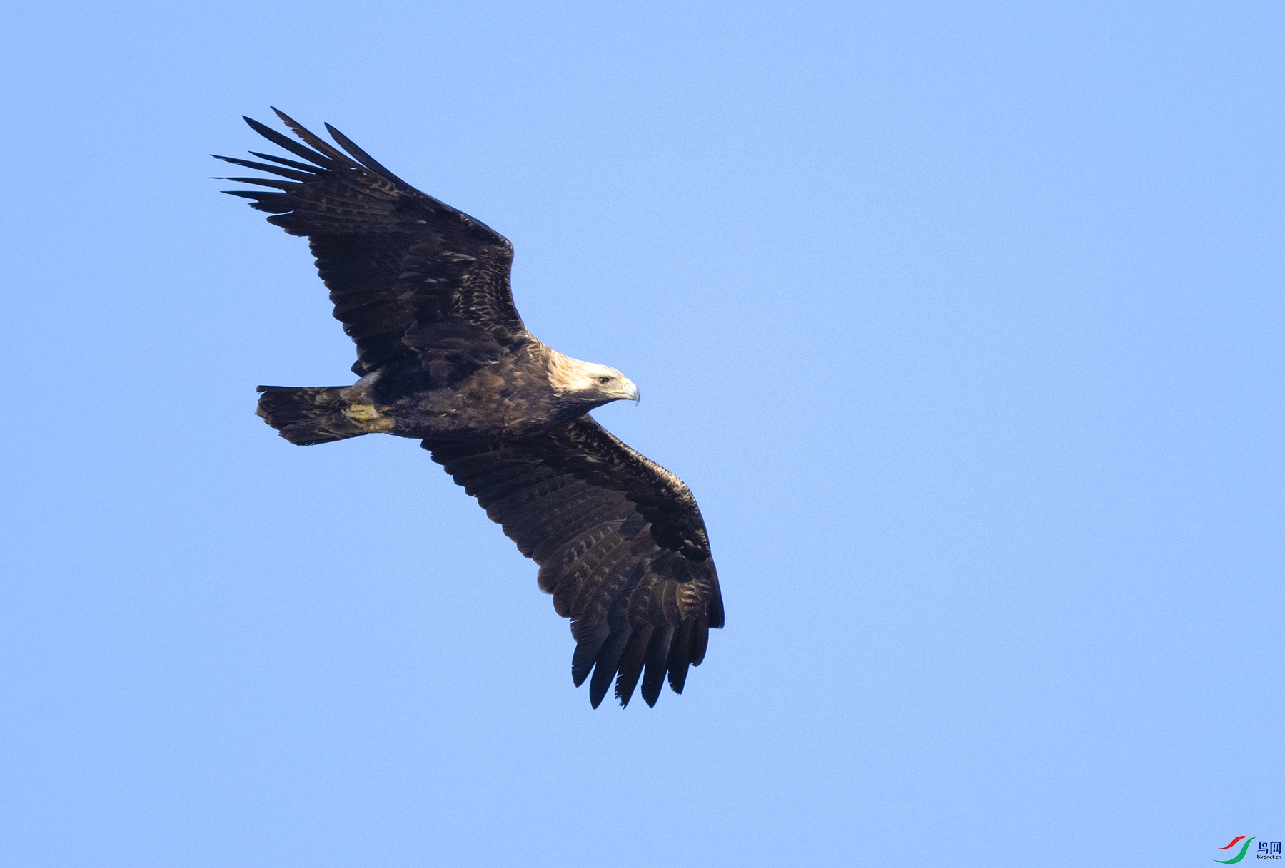 DSC_1899.jpg